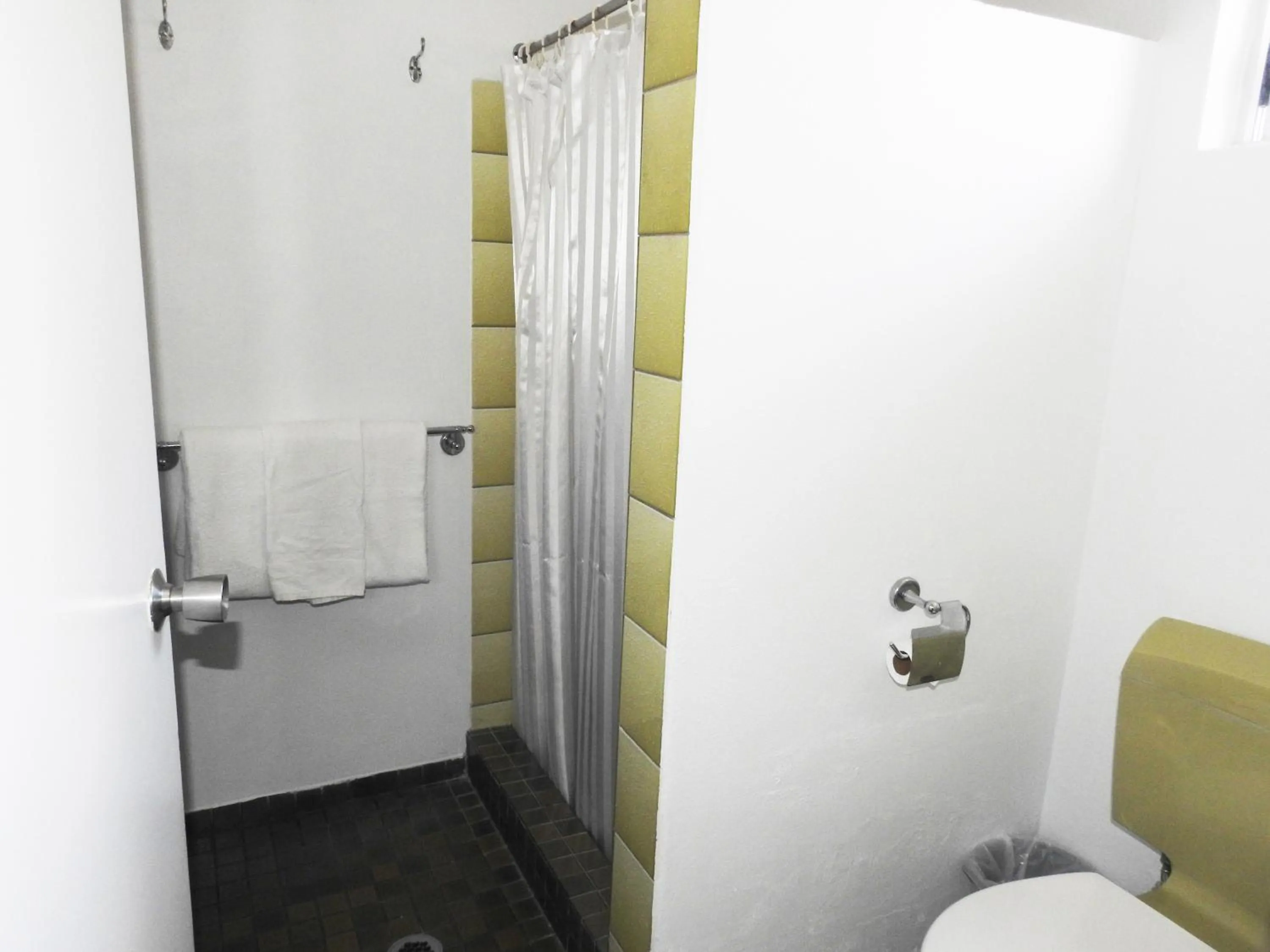 Shower in Tropic Coast Motel