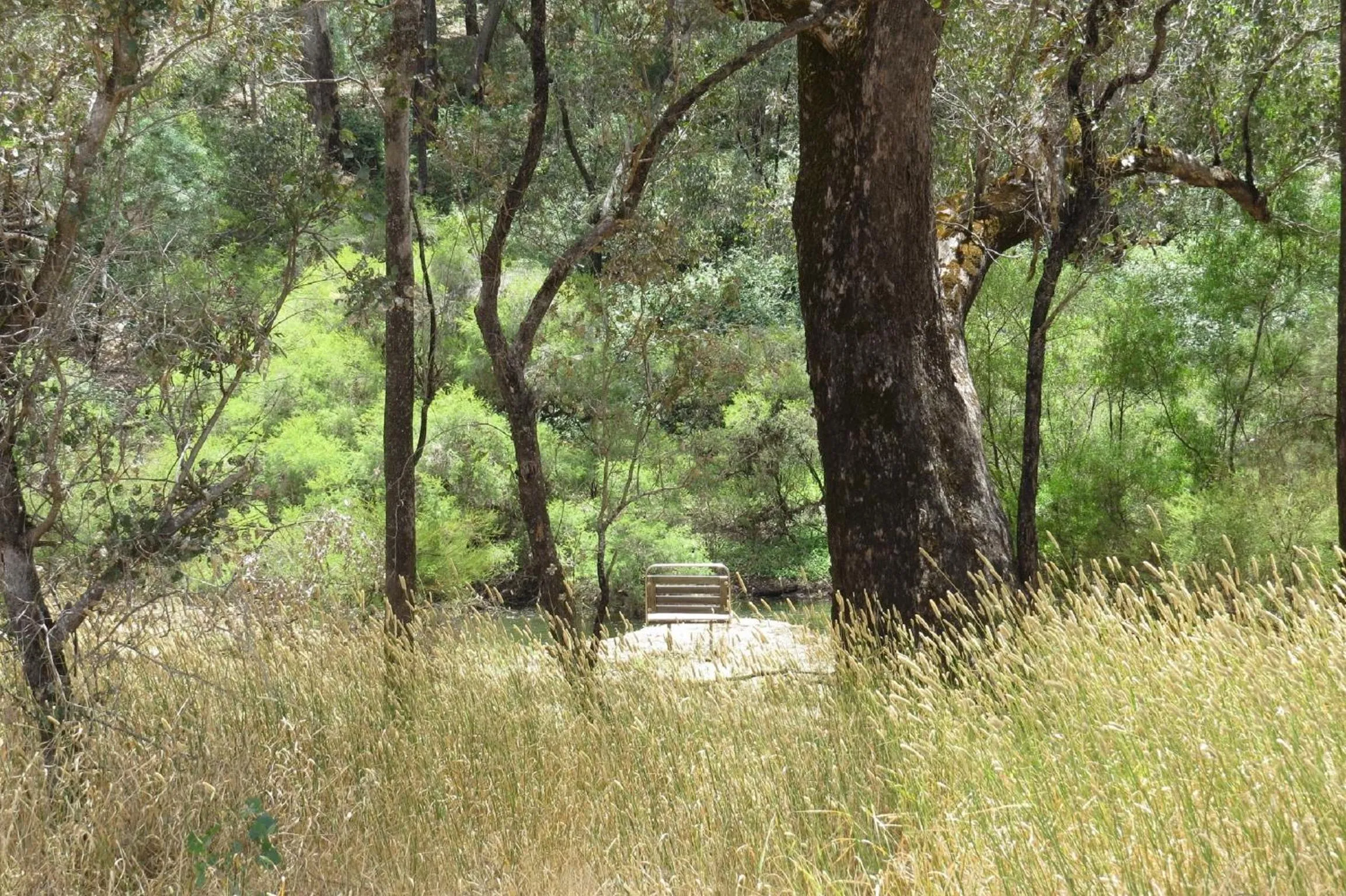 Natural landscape in Jarrah Glen Cabins