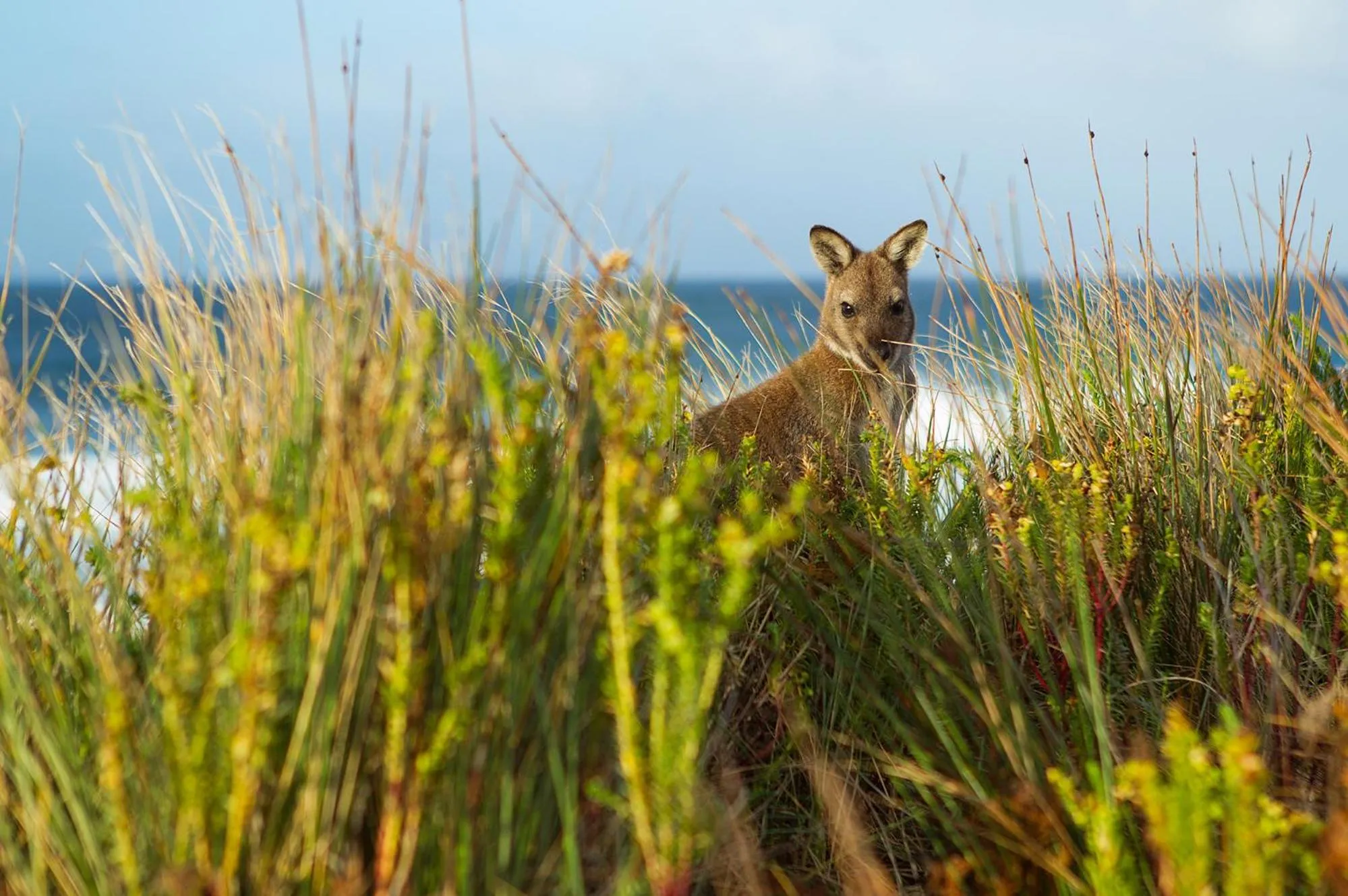 Natural landscape in Island Breeze Motel