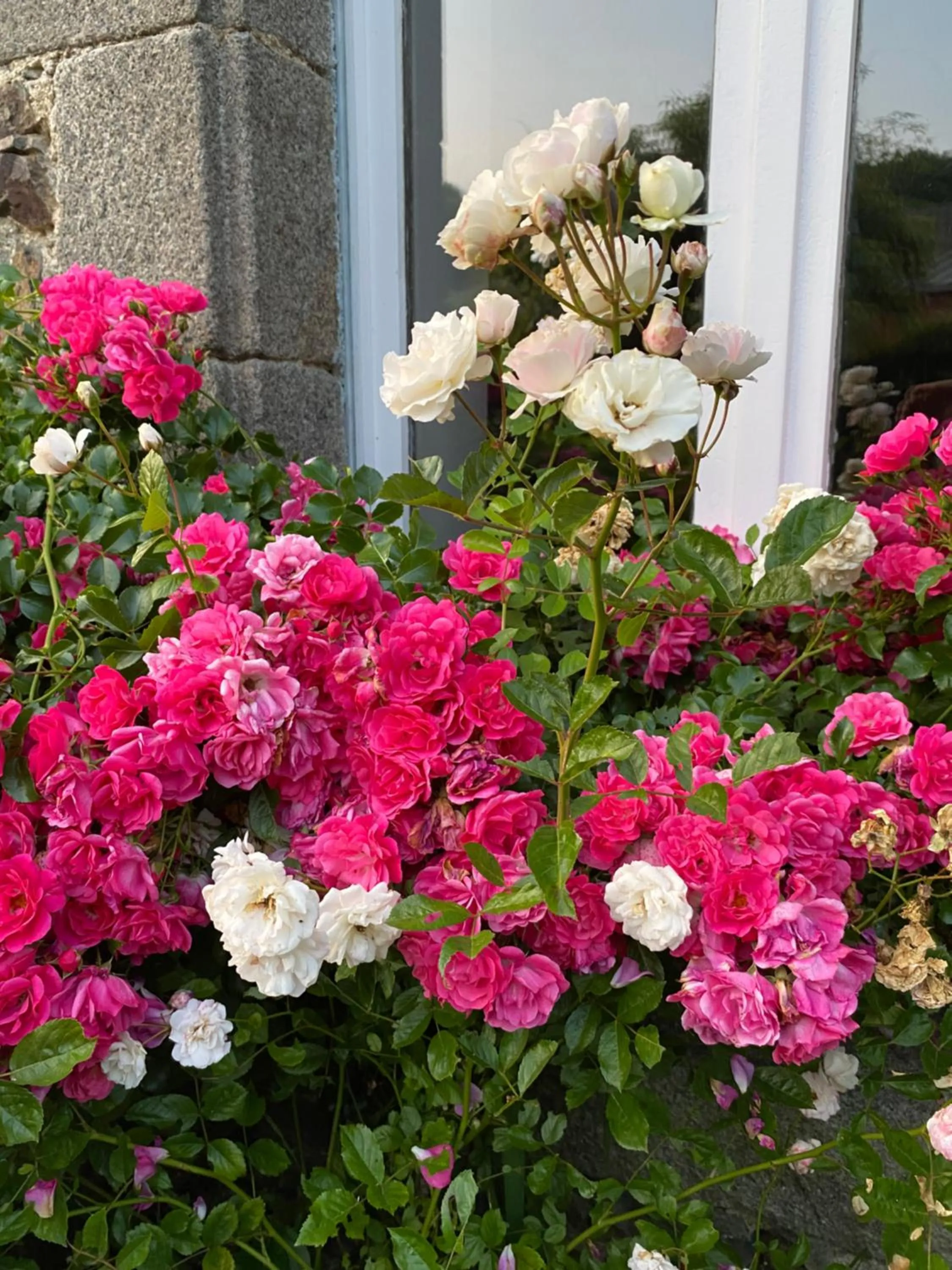 Chambres d hôtes du Moulin à papier