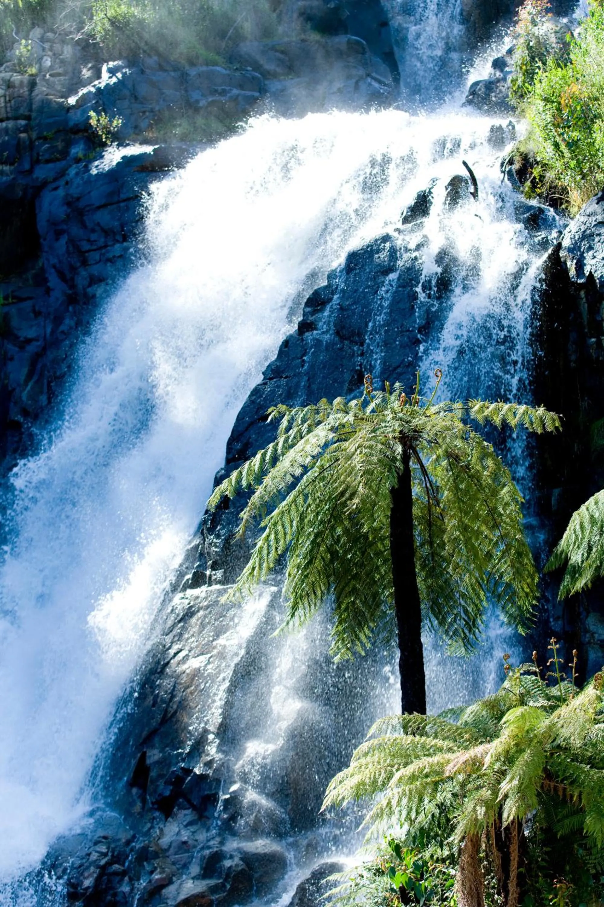 Area and facilities in Tower Motel Marysville