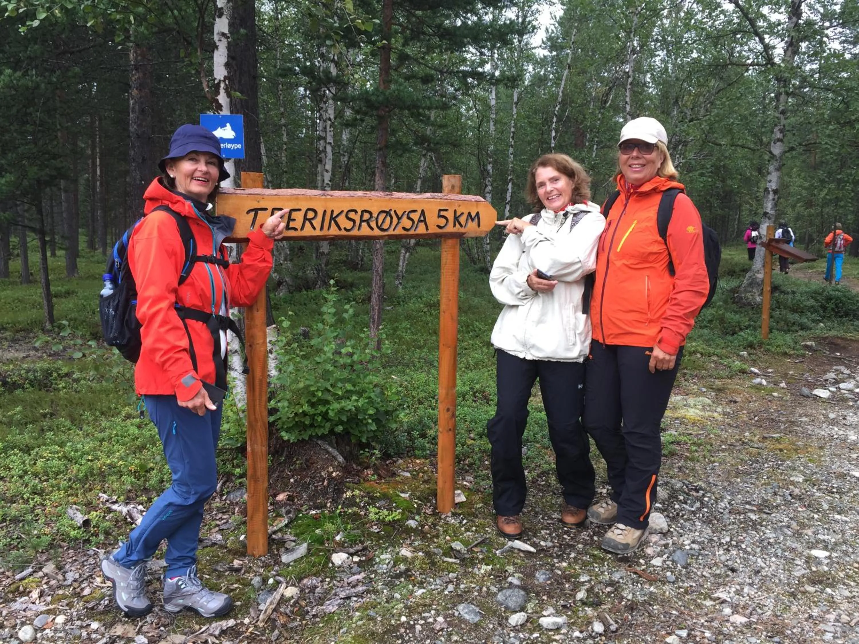 Off site in BIRK bed & birds