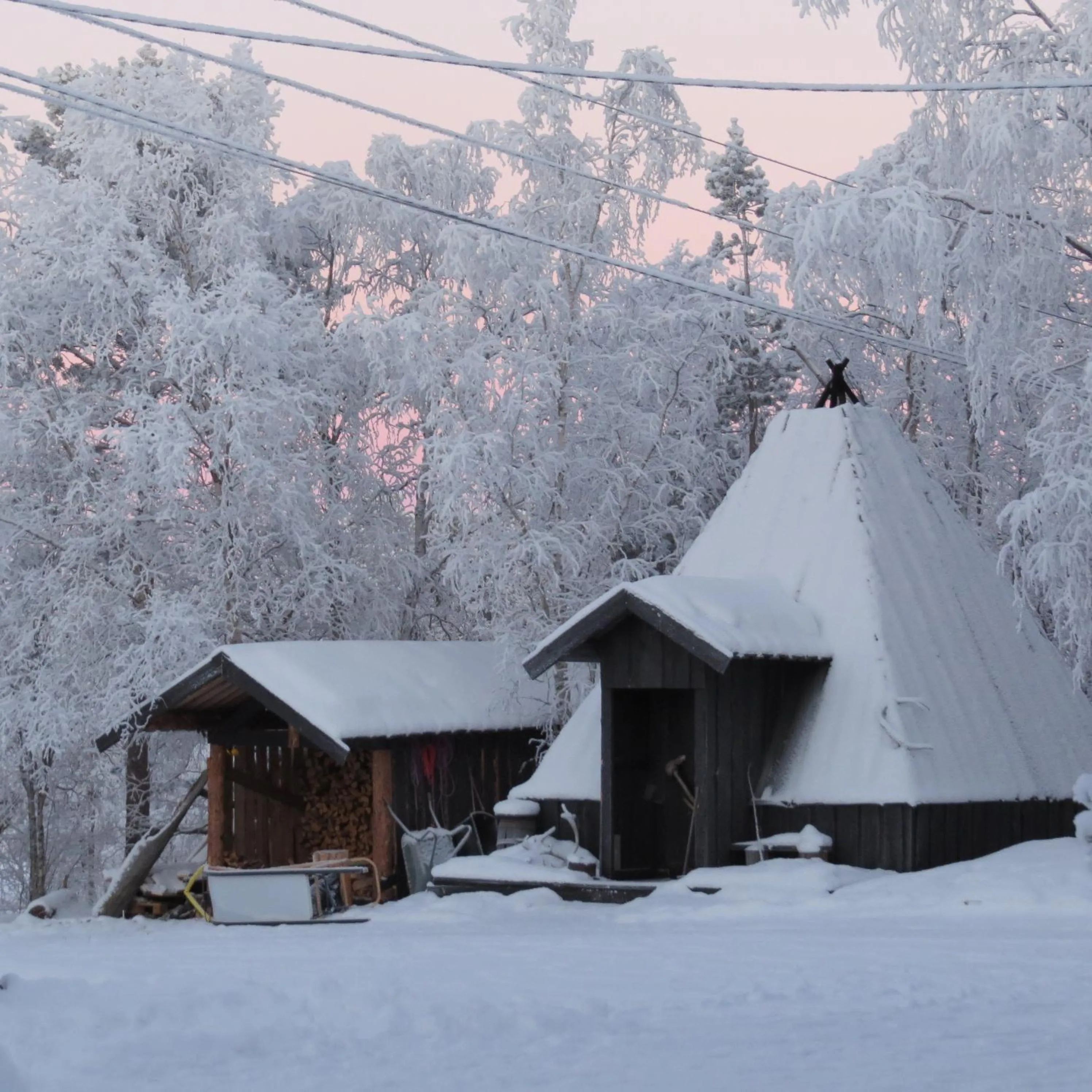 Restaurant/places to eat in BIRK bed & birds