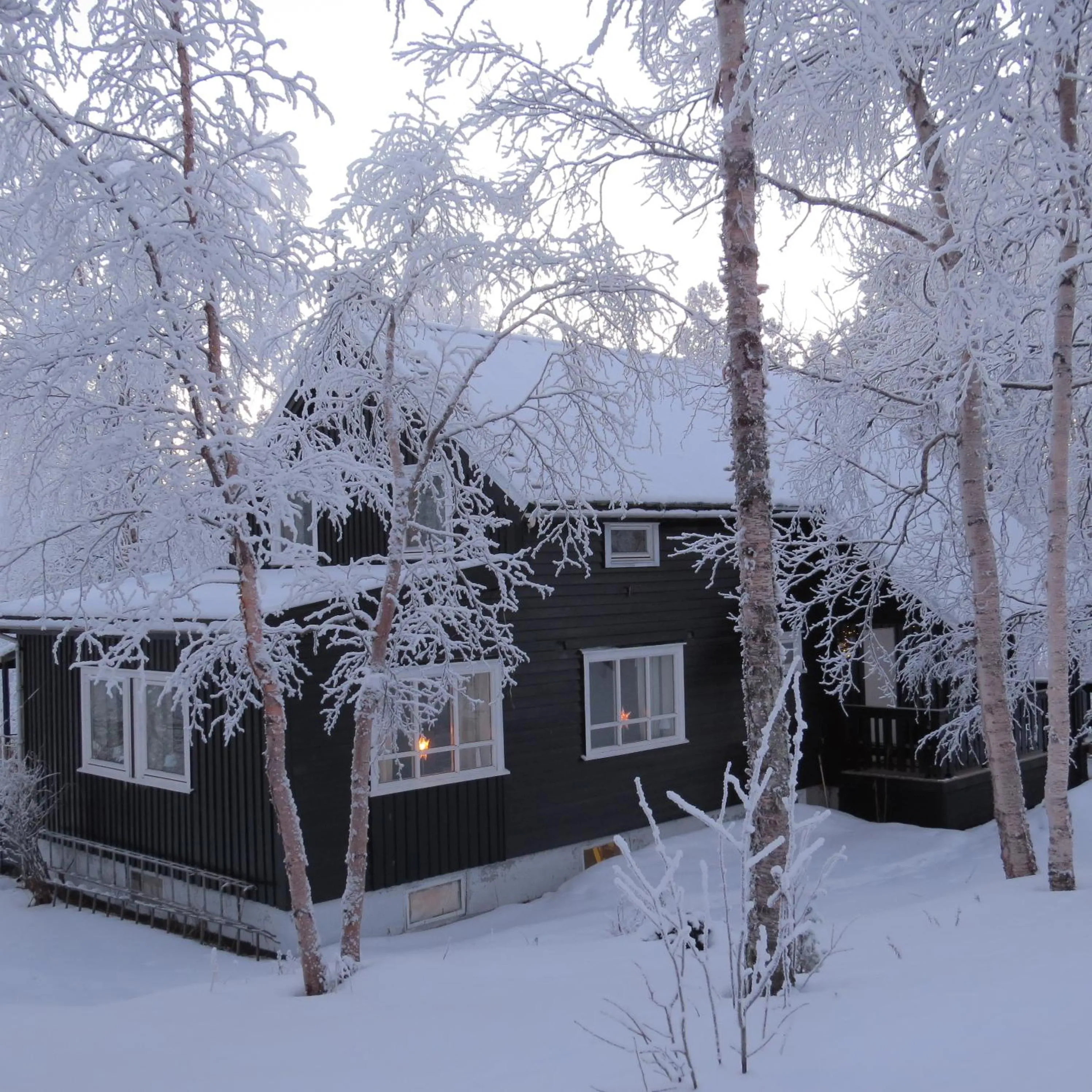 Facade/entrance in BIRK bed & birds