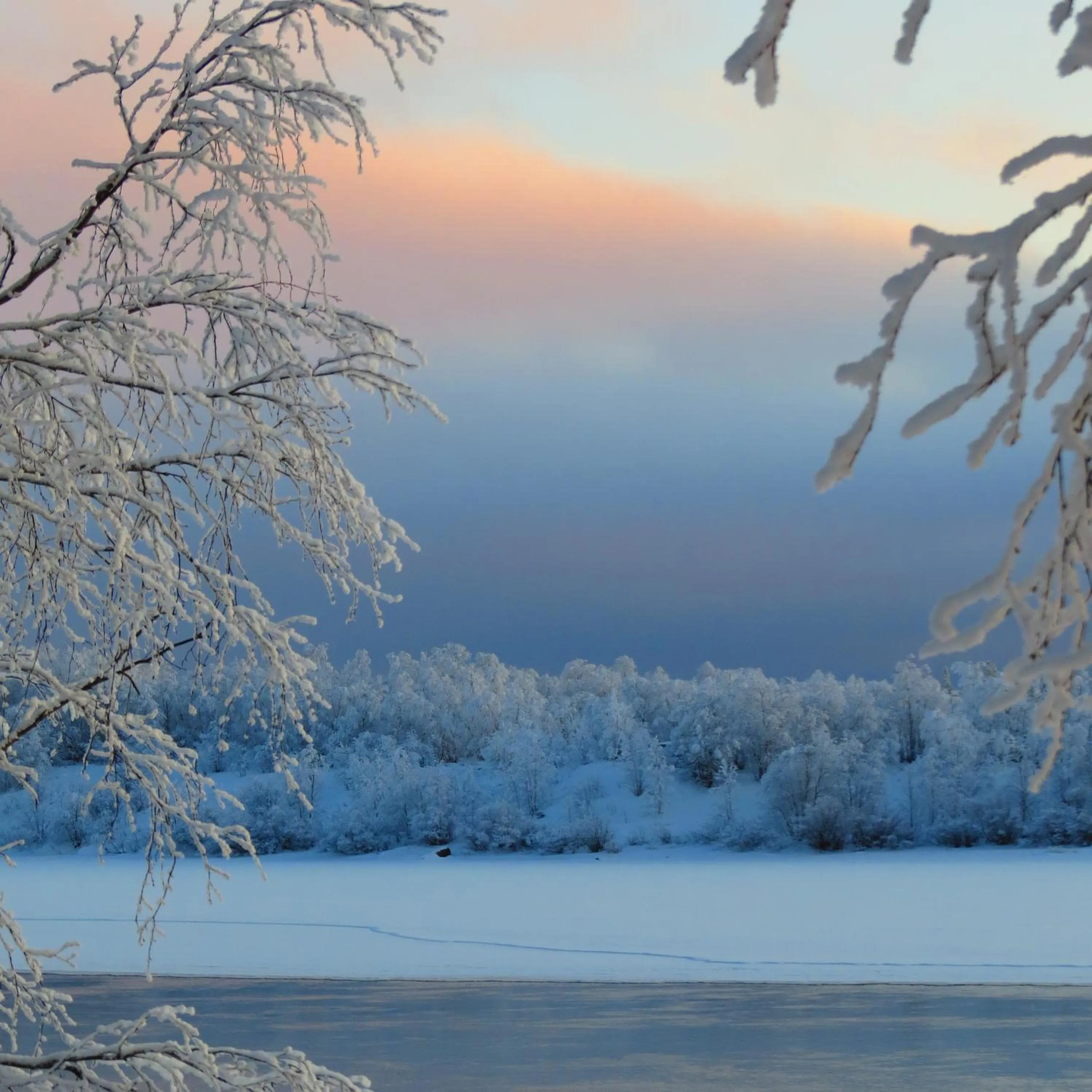 View (from property/room) in BIRK bed & birds
