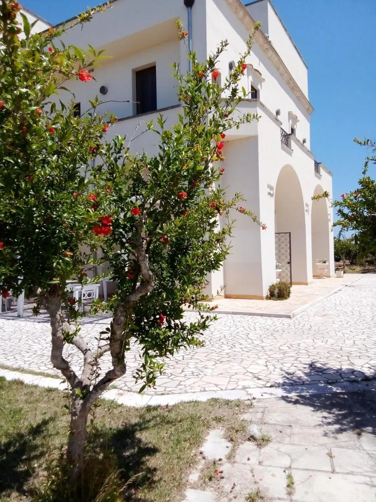 Tenuta degli Agrumi Tenuta degli Agrumi