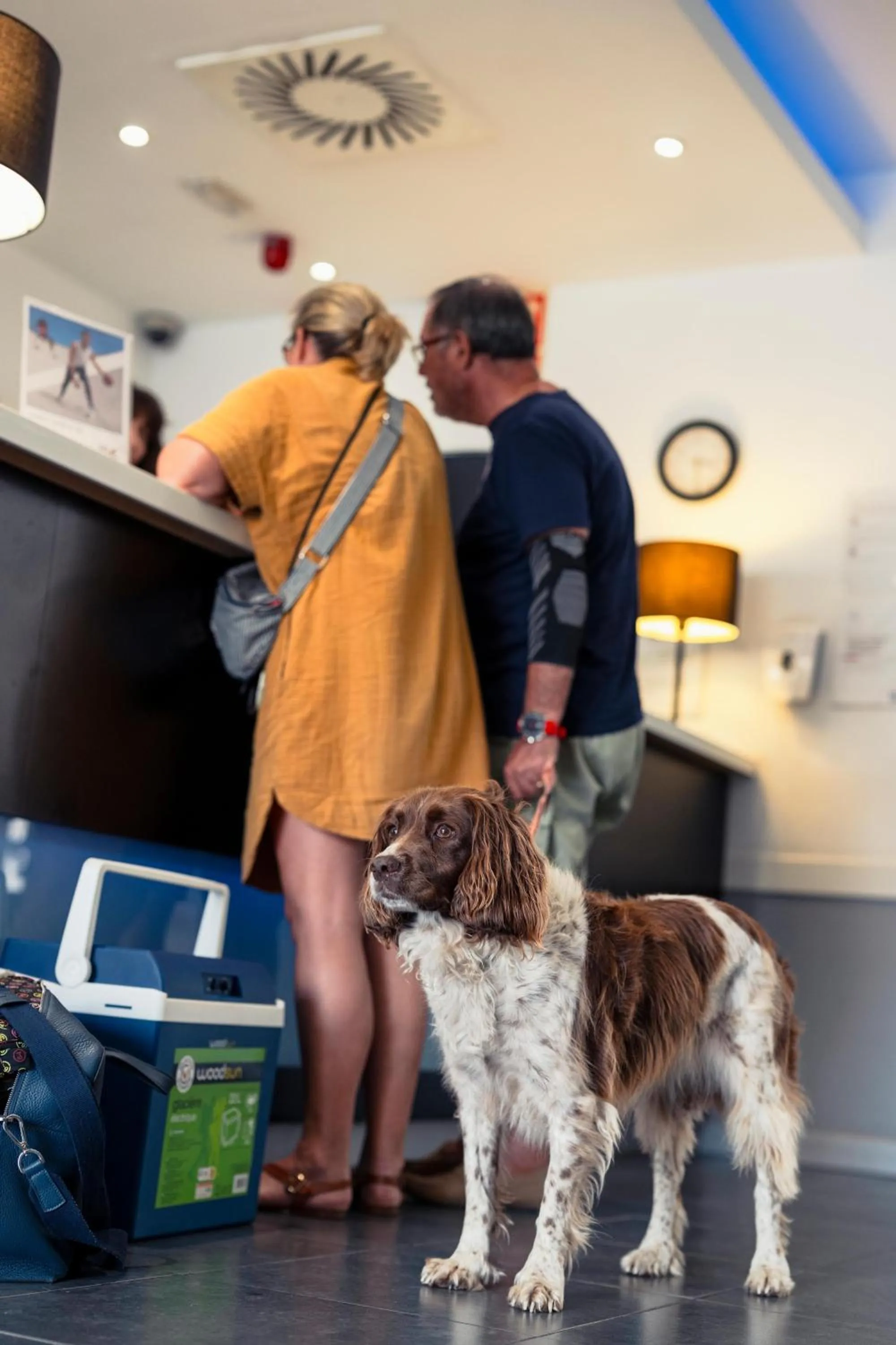 Pets in Ibis Budget Málaga Centro