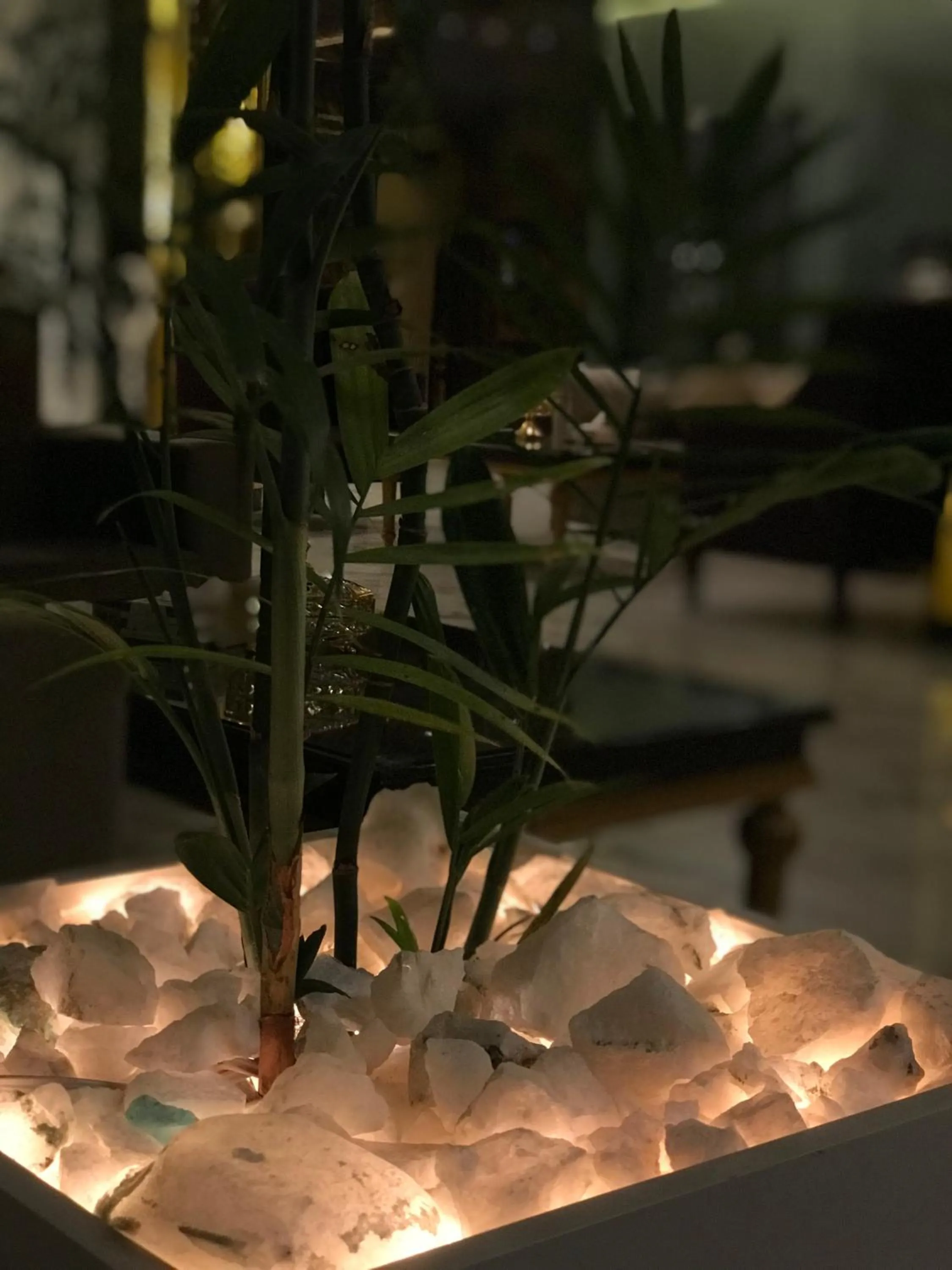 Night in Swat Palace Hotel By Northin