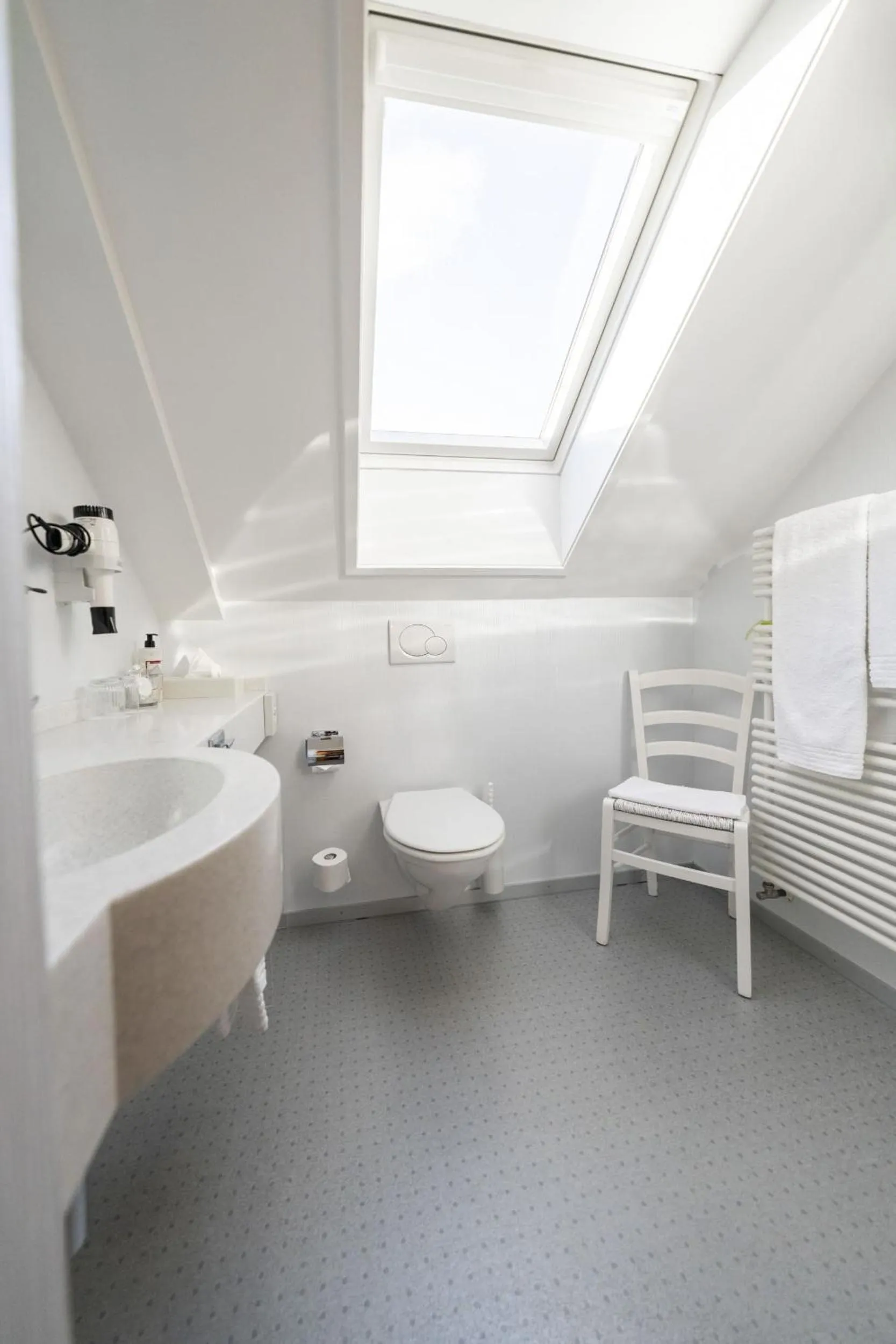 Toilet in Hotel Säntis