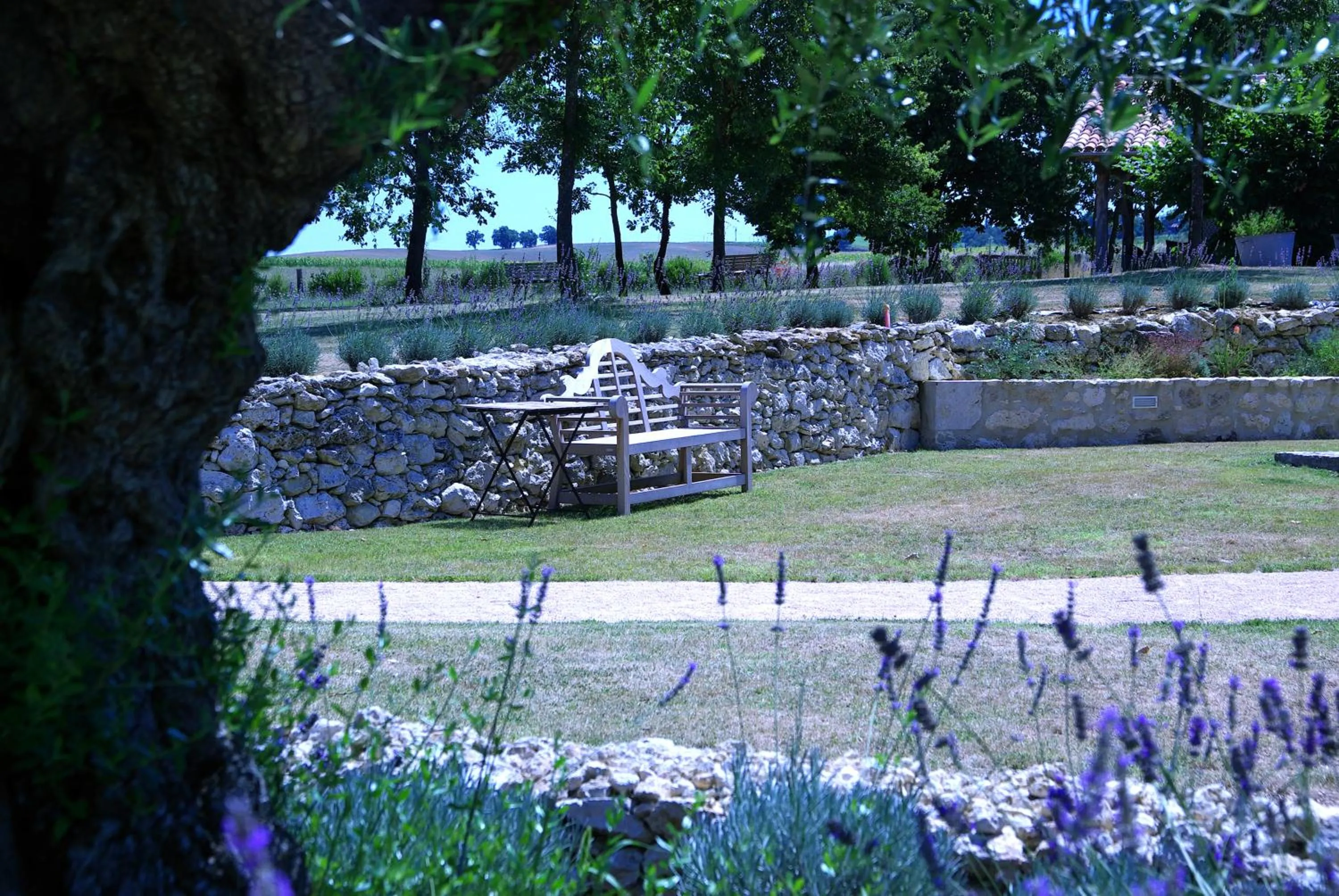 Area and facilities in Chambres d'hôtes Domaine de Nazère