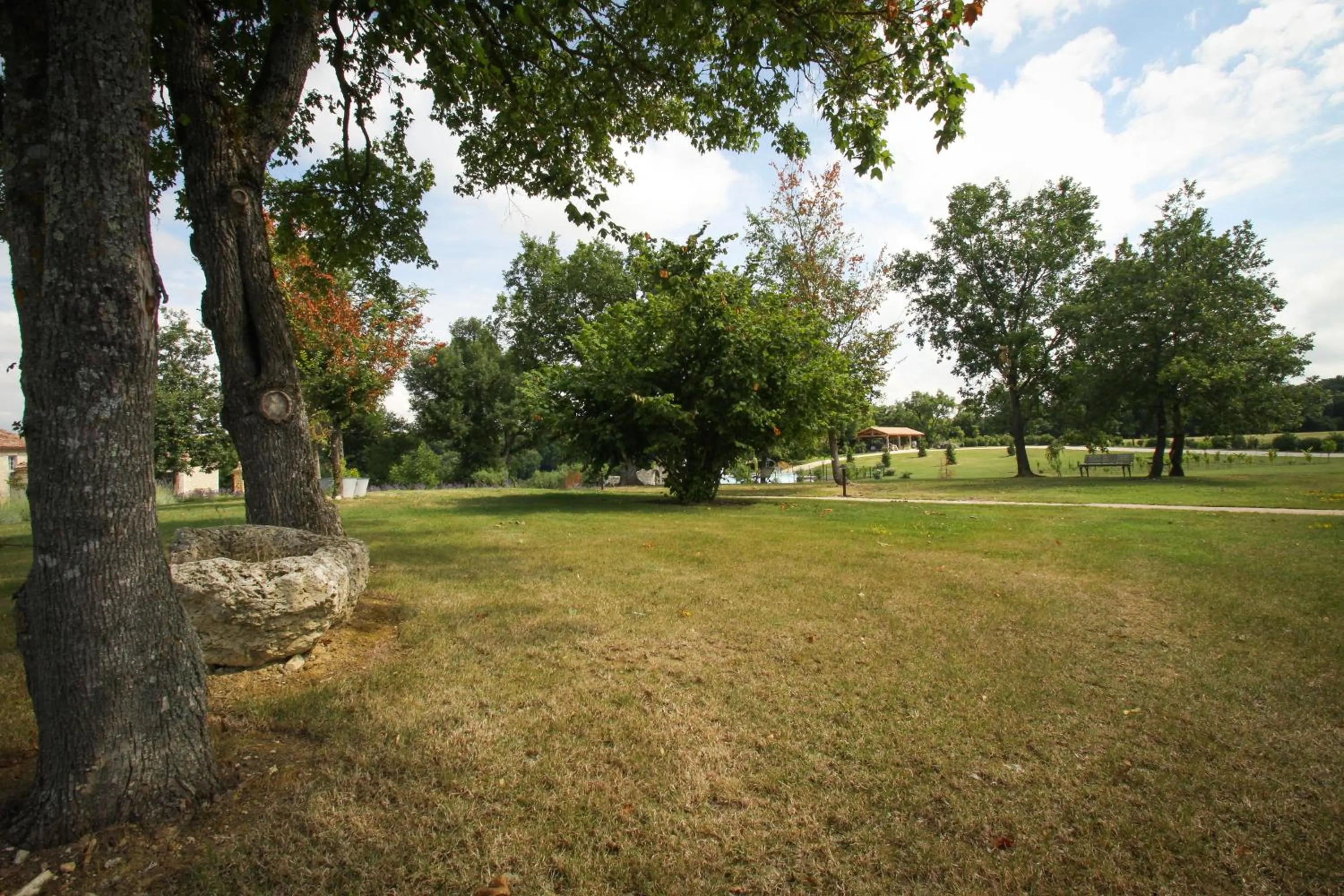 Area and facilities in Chambres d'hôtes Domaine de Nazère