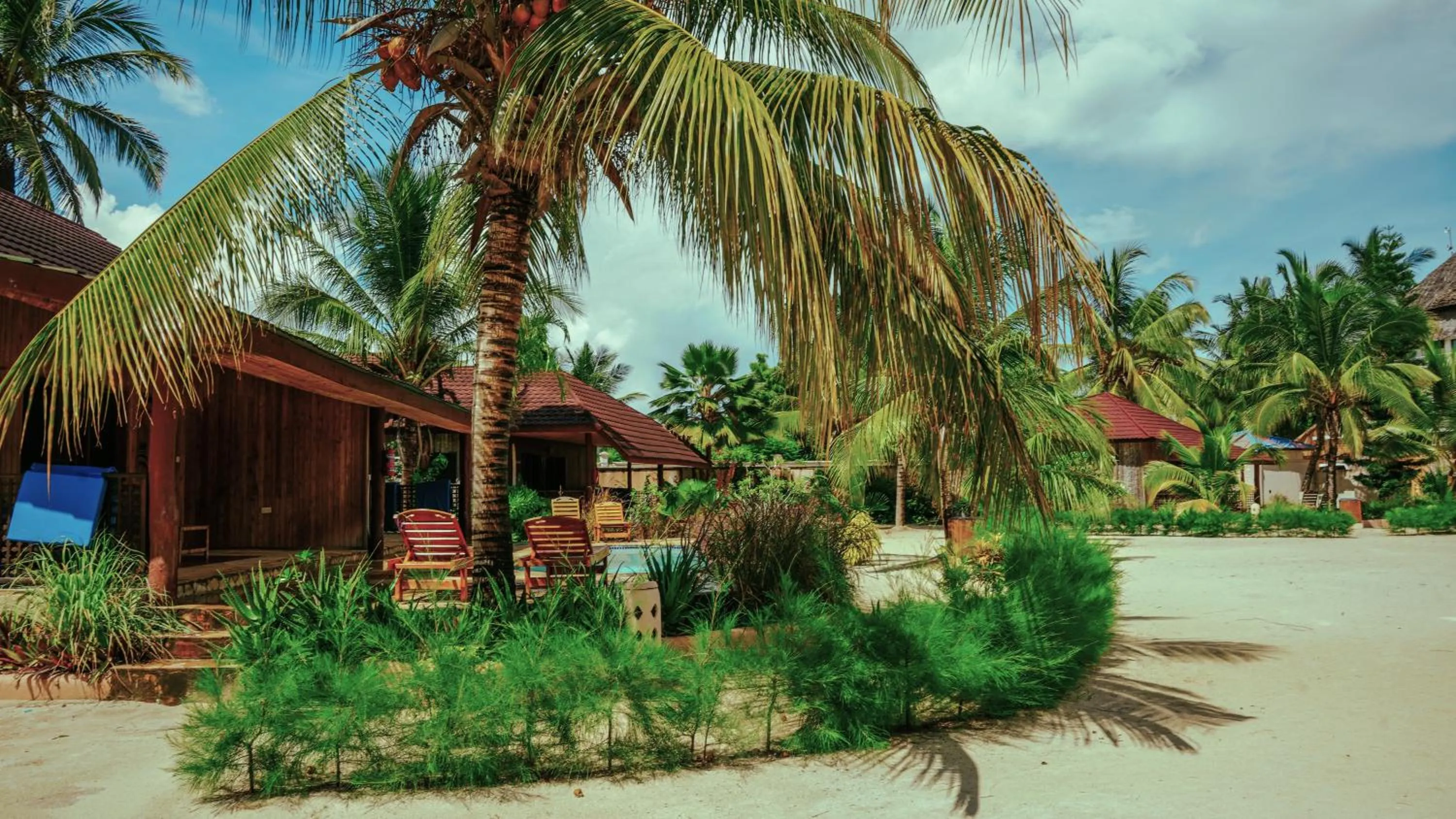 Garden view in Kendwa Rocks Hotel