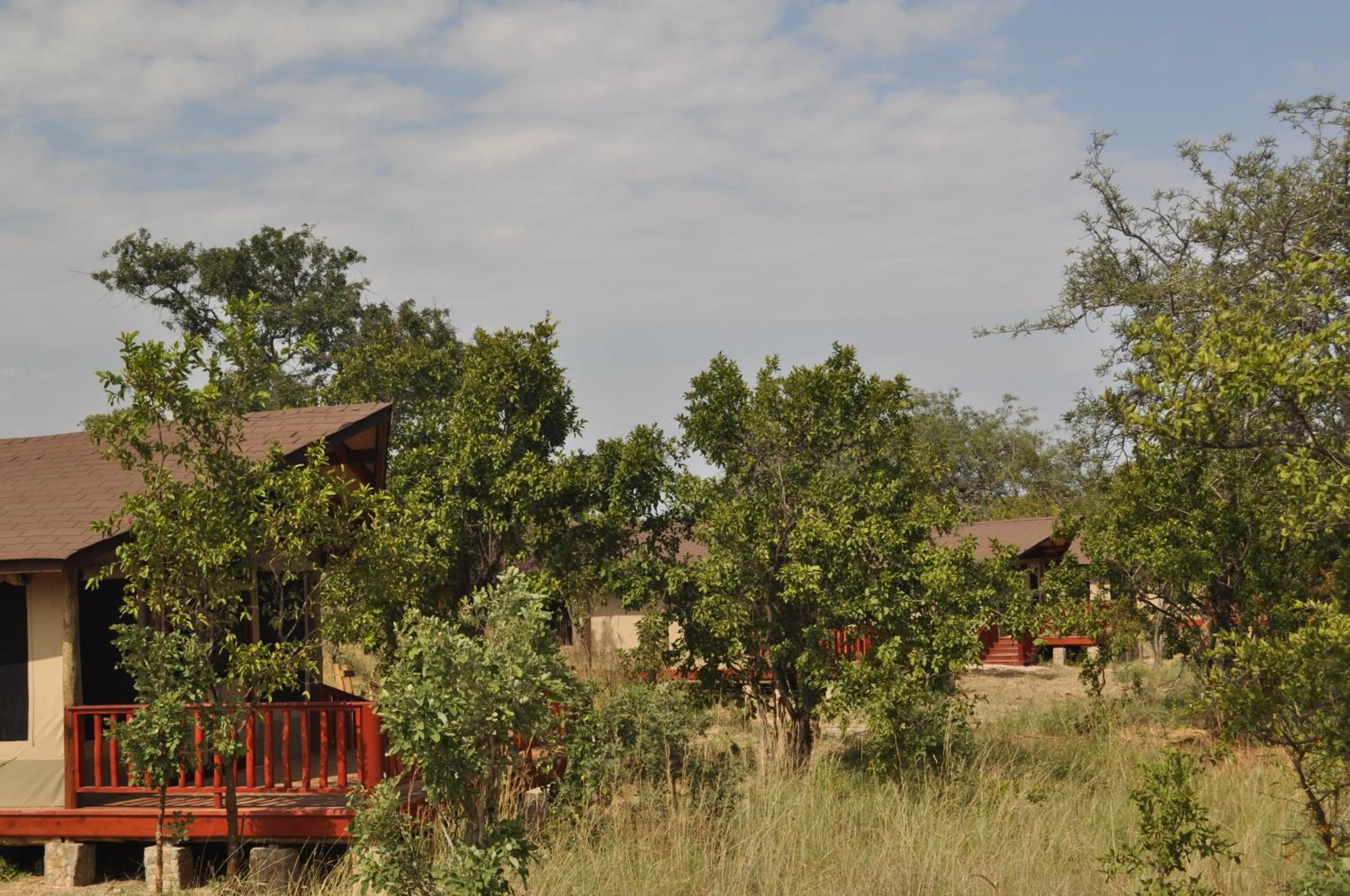 Facade/entrance in Elephant Rock Luxury Camp Tarangire