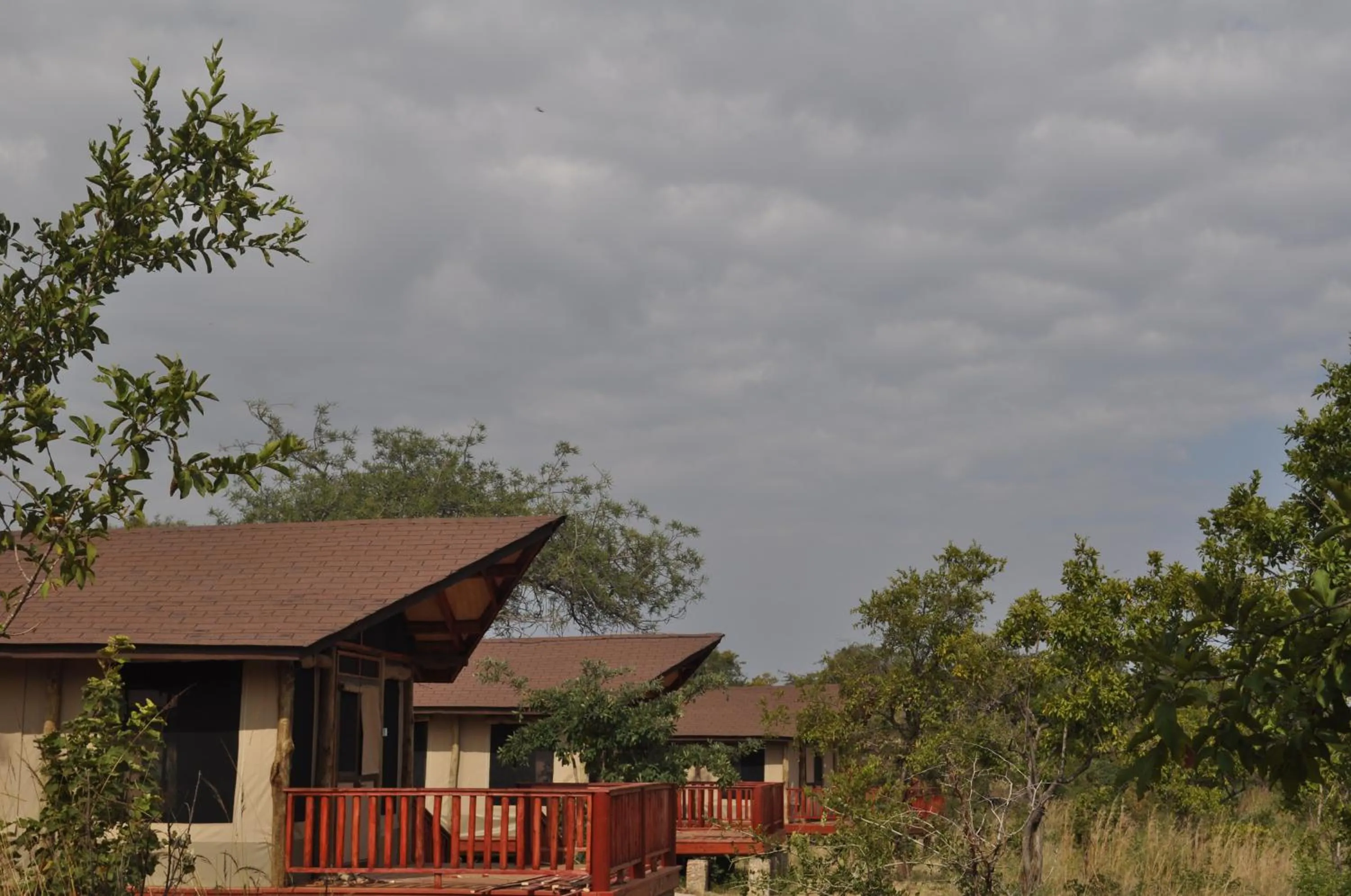 Facade/entrance in Elephant Rock Luxury Camp Tarangire