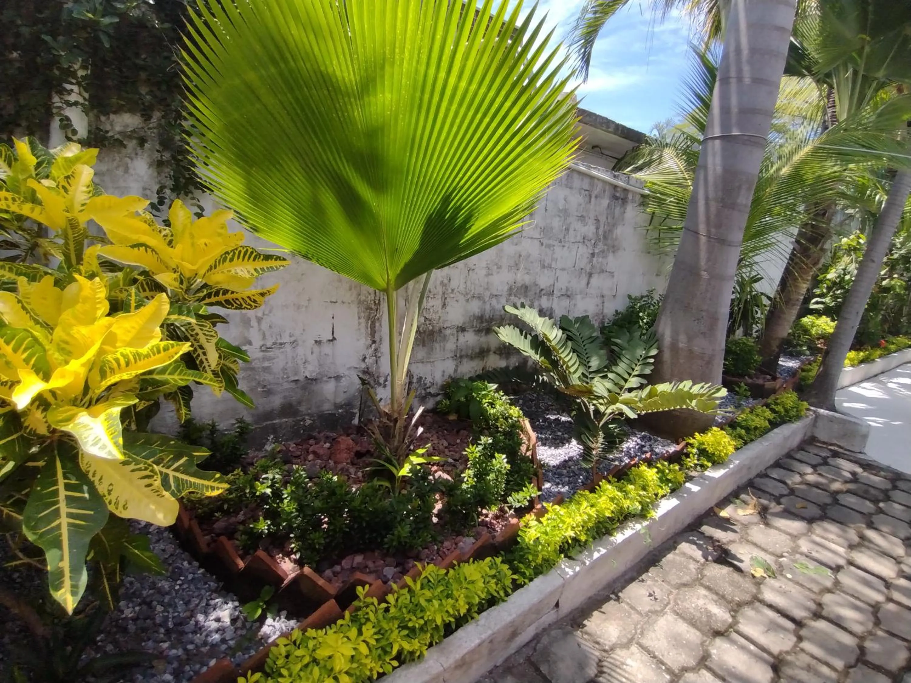 Garden in Ashly Boulevard