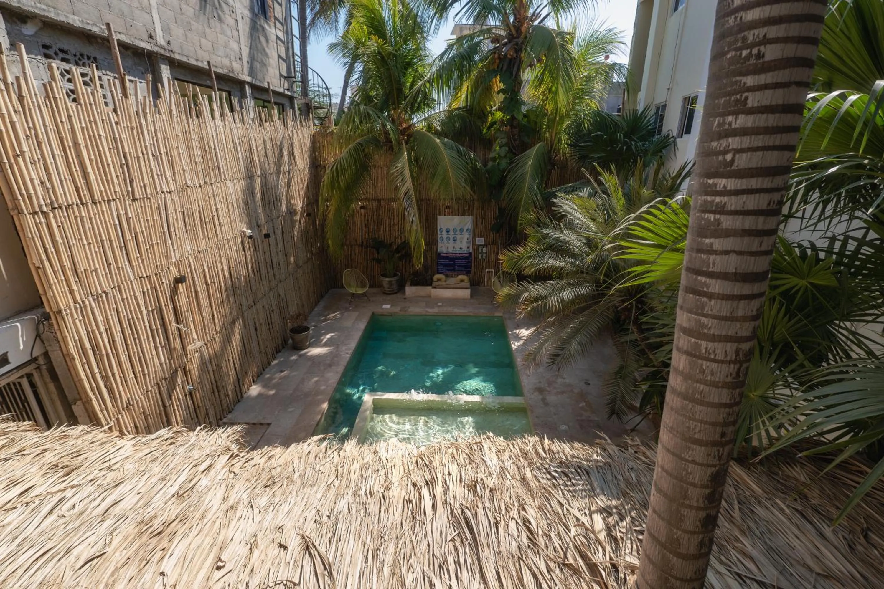 Day in Ashly Boulevard