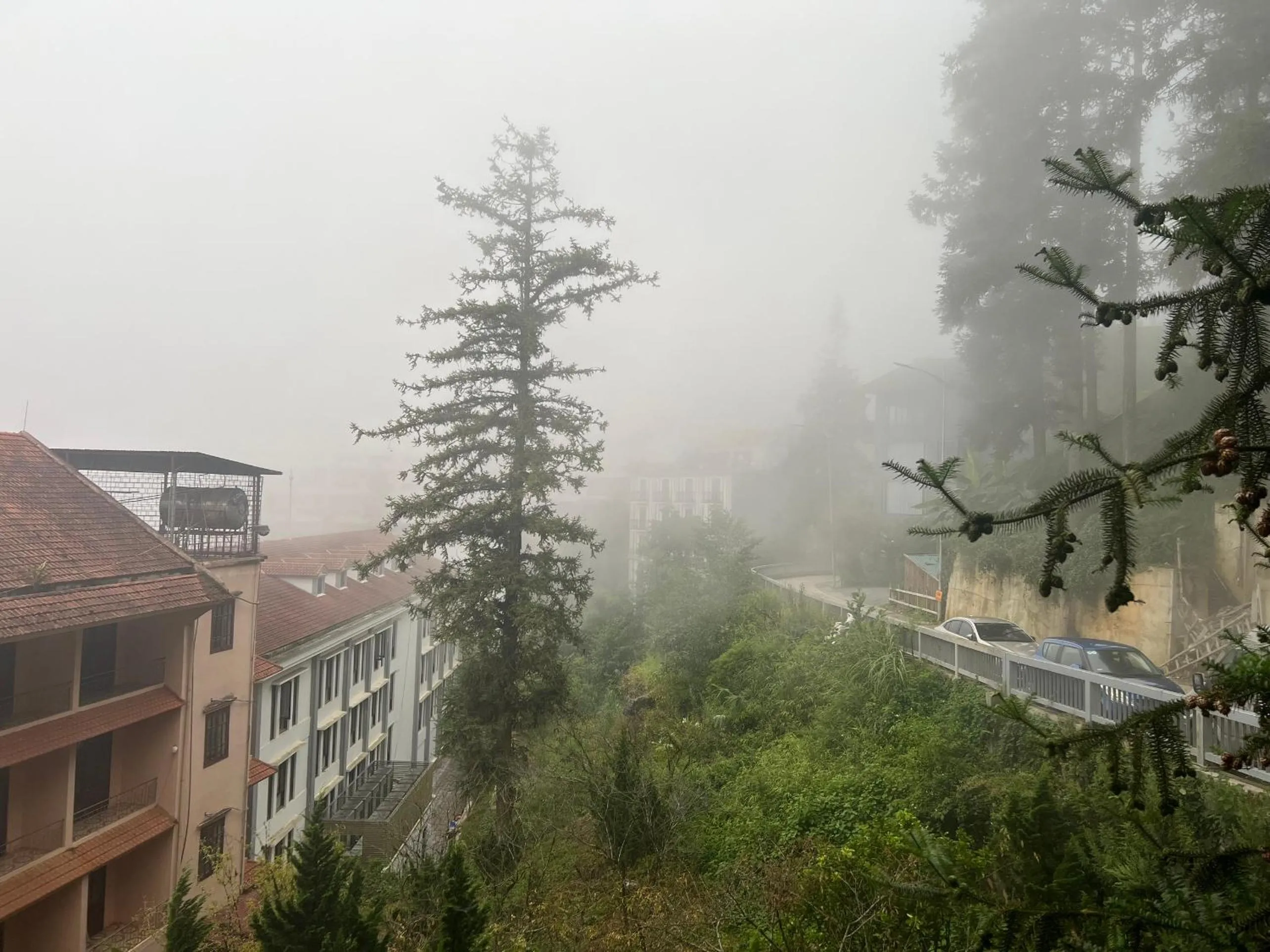 View (from property/room) in Sapa Elite Hotel