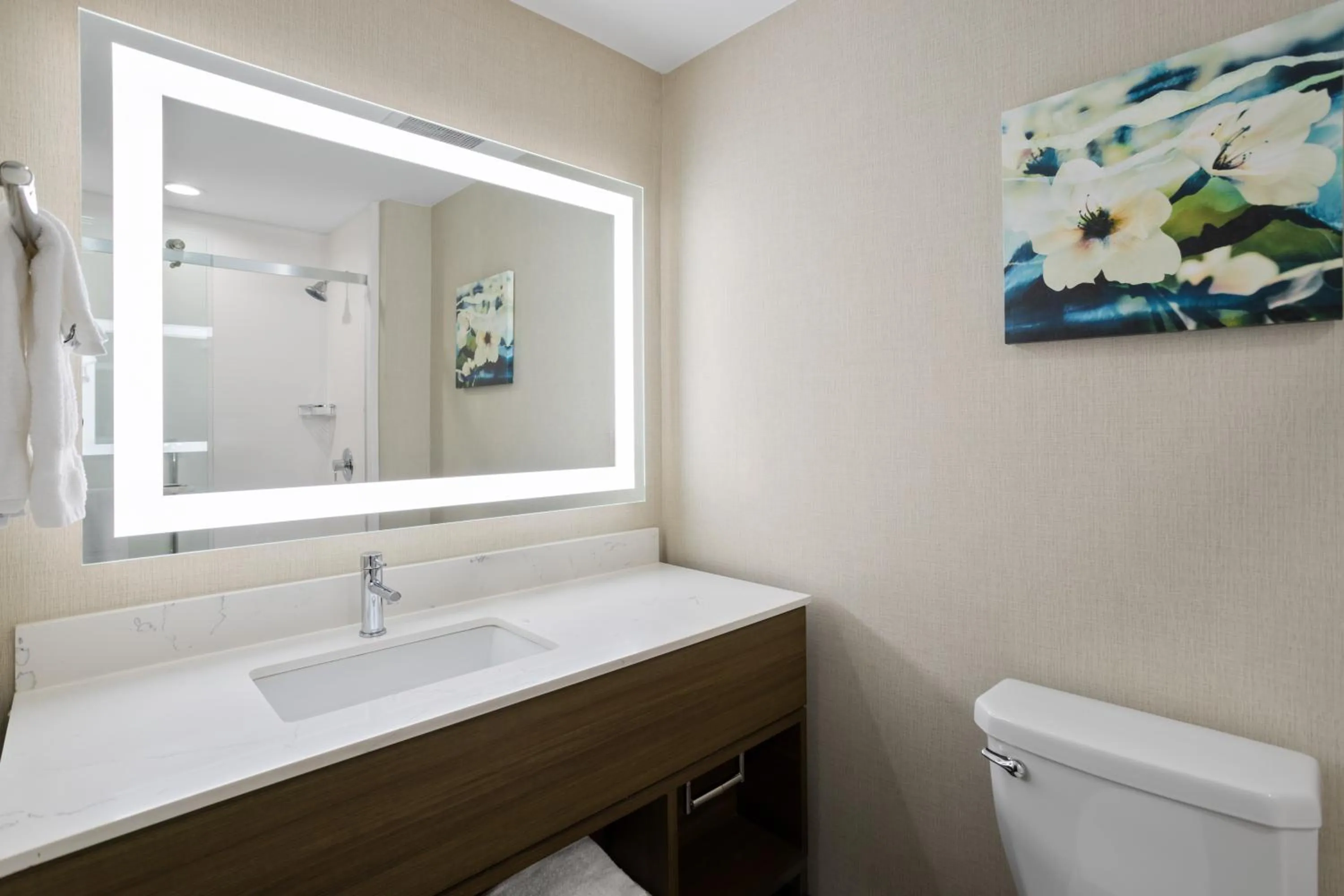 Toilet in La Quinta Inn & Suites by Wyndham Locust Grove