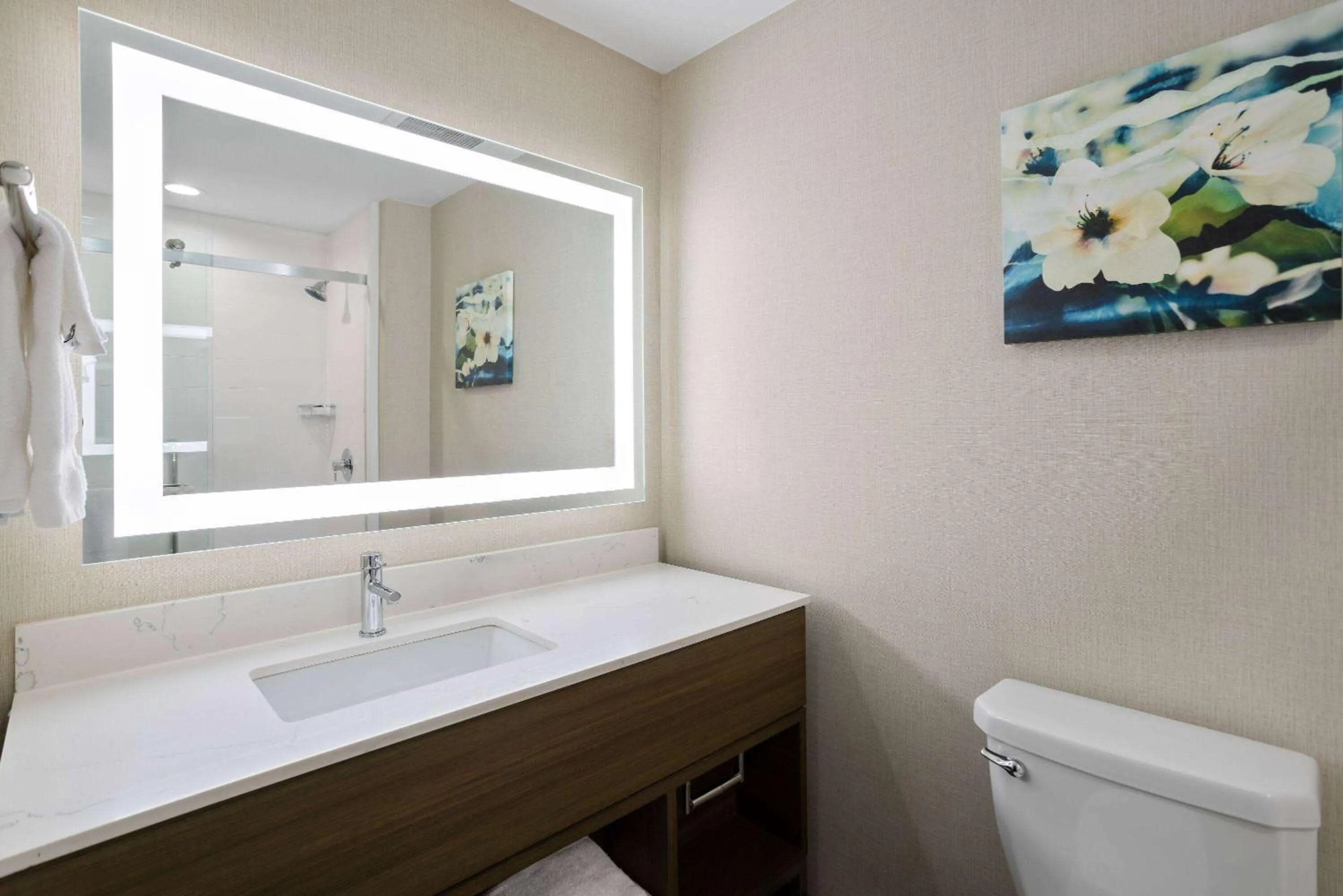 TV and multimedia in La Quinta Inn & Suites by Wyndham Locust Grove