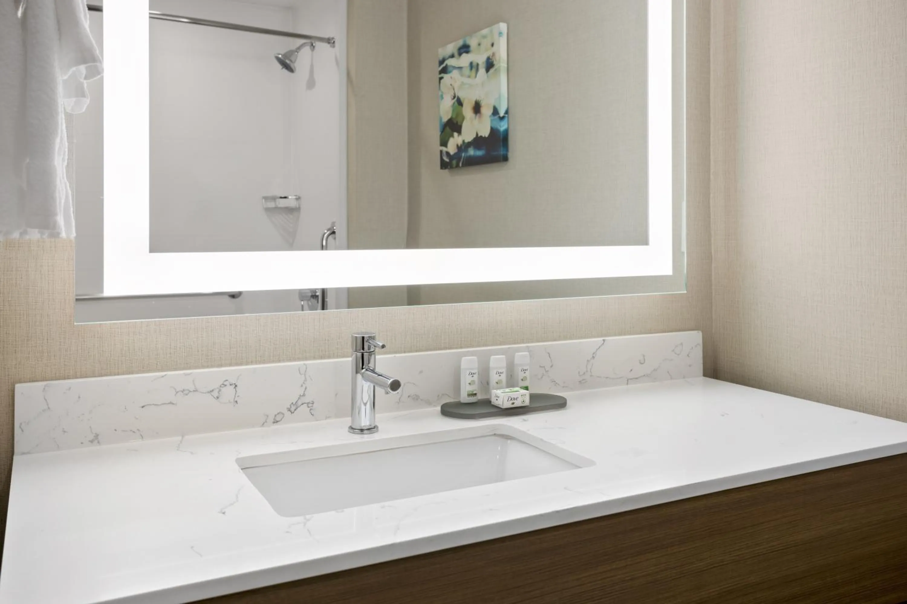 Bathroom in La Quinta Inn & Suites by Wyndham Locust Grove