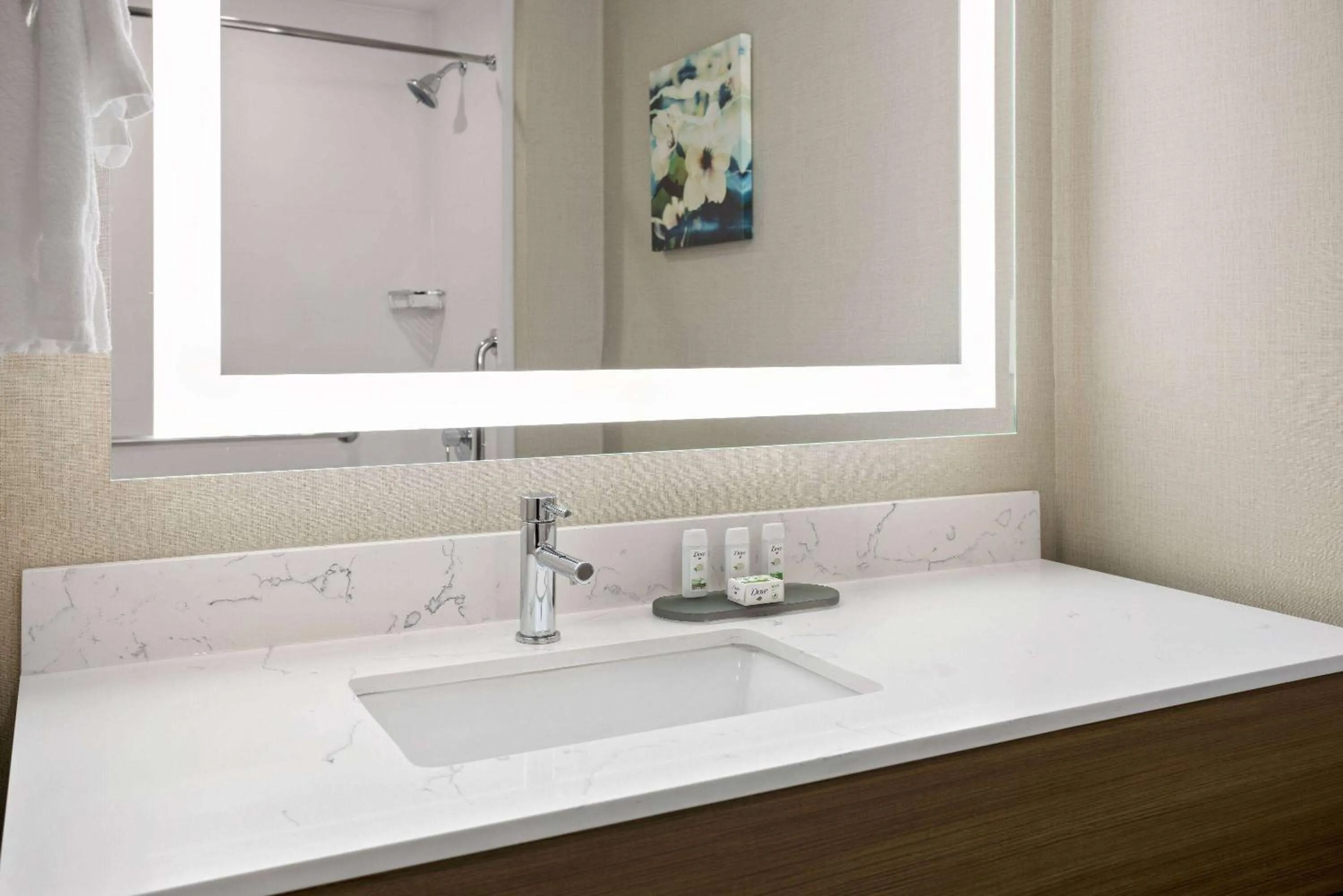 TV and multimedia in La Quinta Inn & Suites by Wyndham Locust Grove