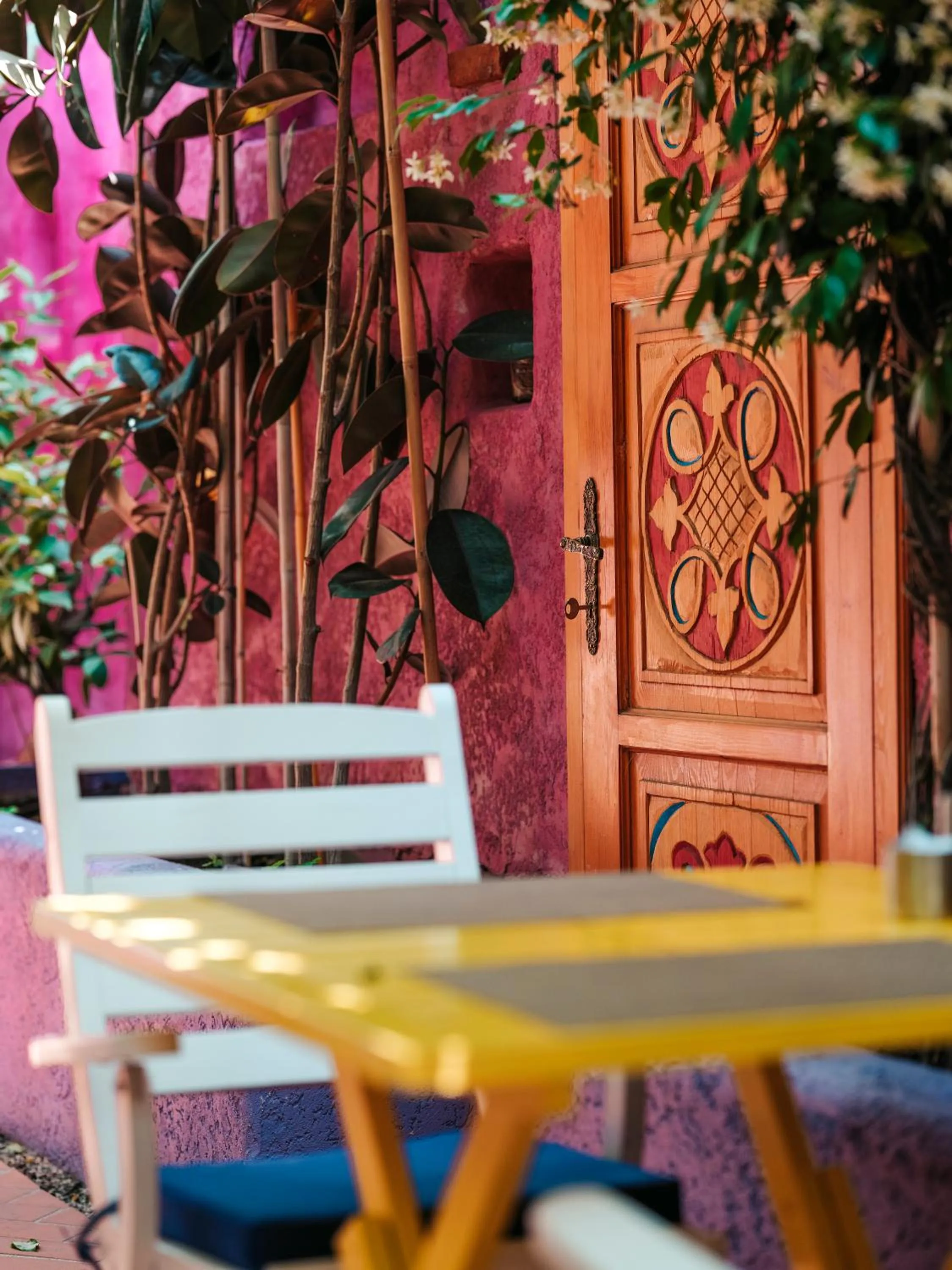 Garden in Casa De Nova Hotel