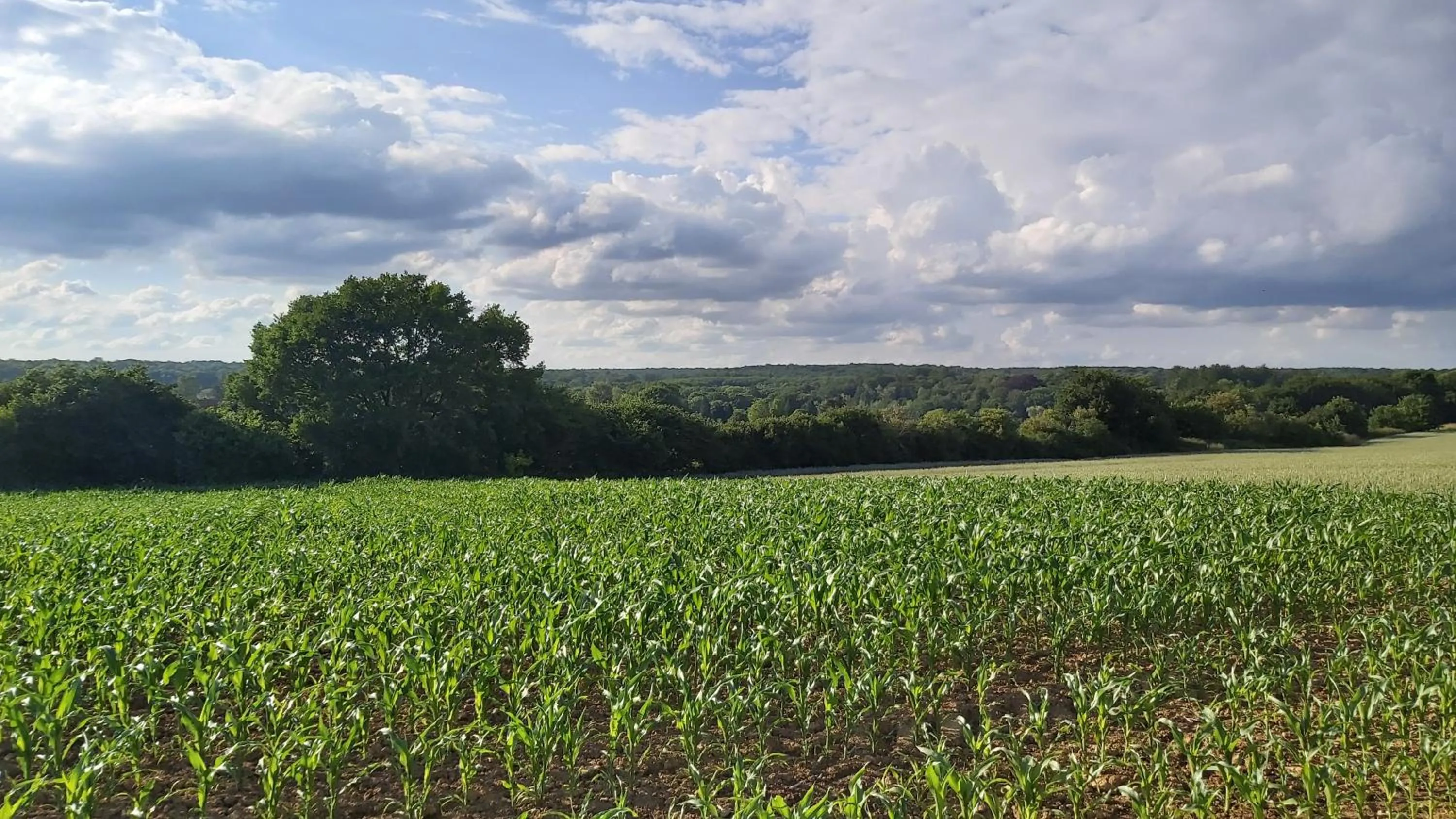 Spring in B&B Entre Champs