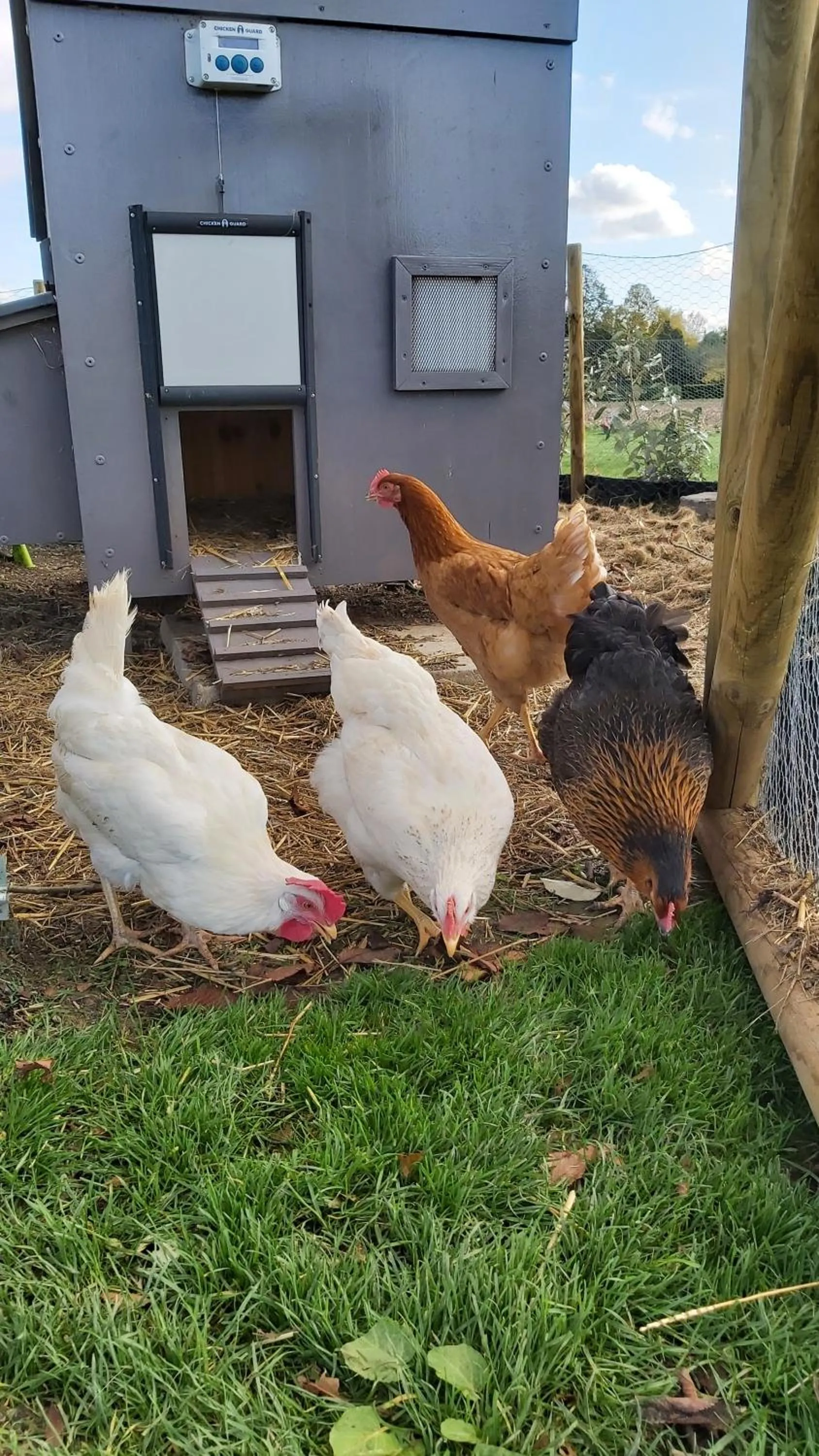 Pets in B&B Entre Champs