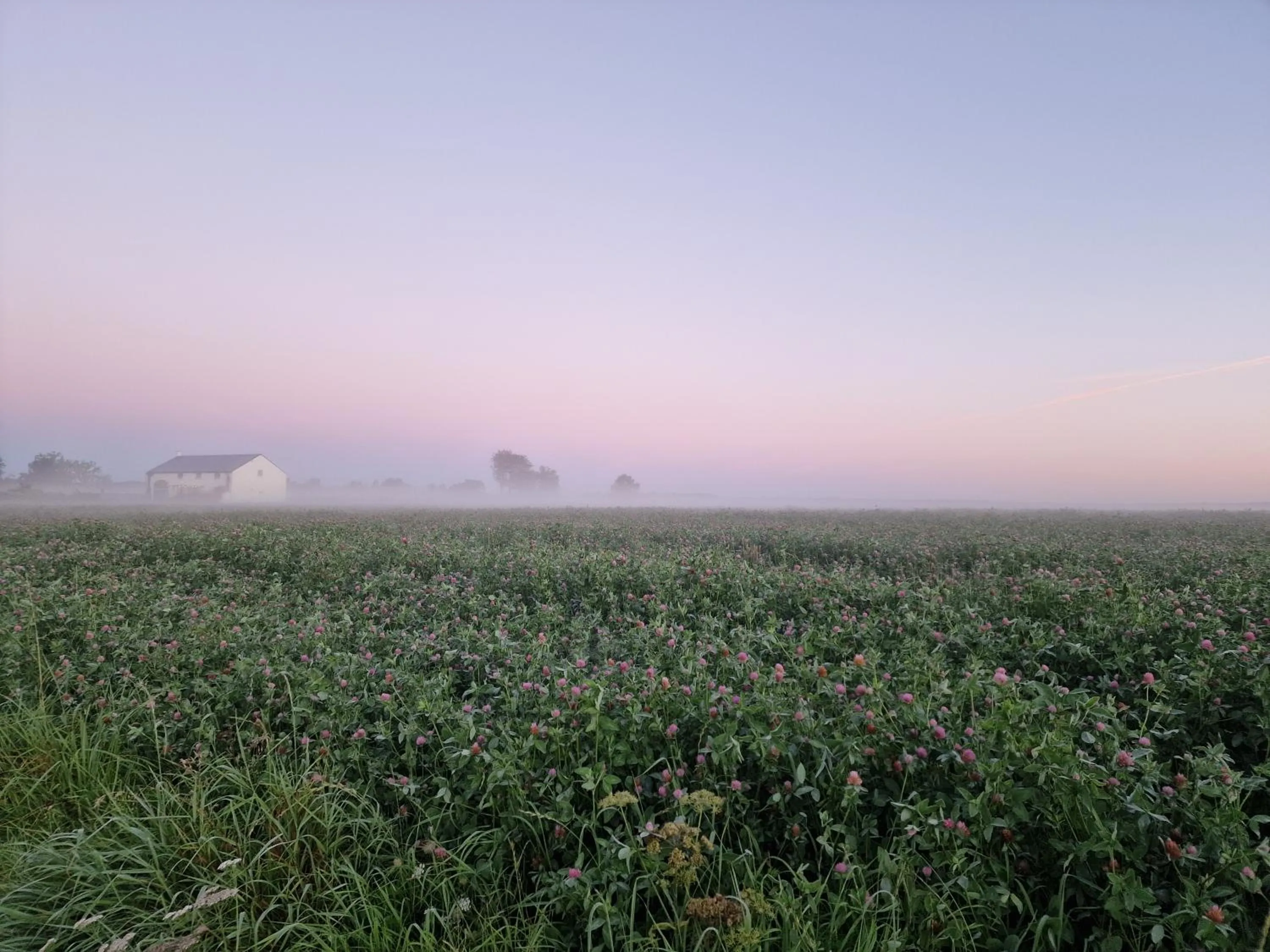 Property building in B&B Entre Champs