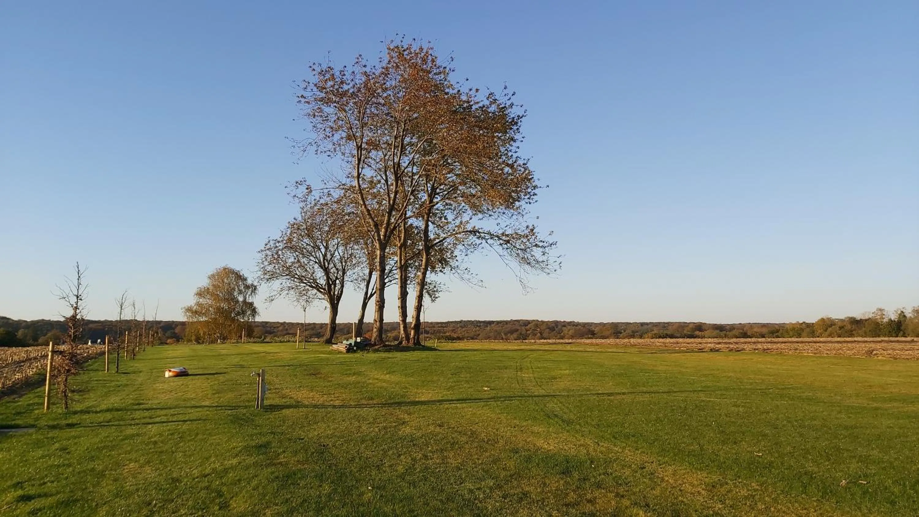 Spring in B&B Entre Champs