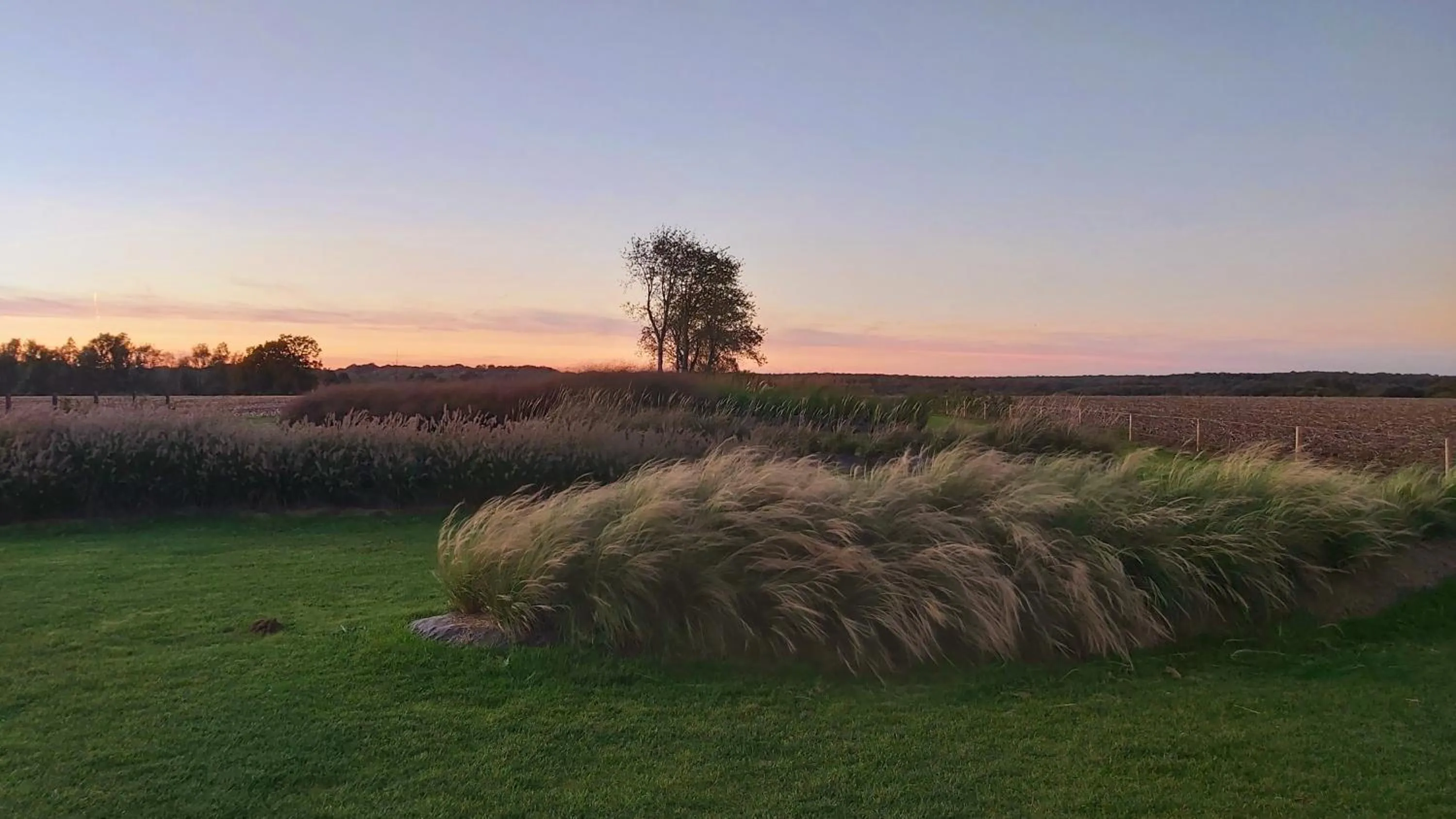 Spring in B&B Entre Champs