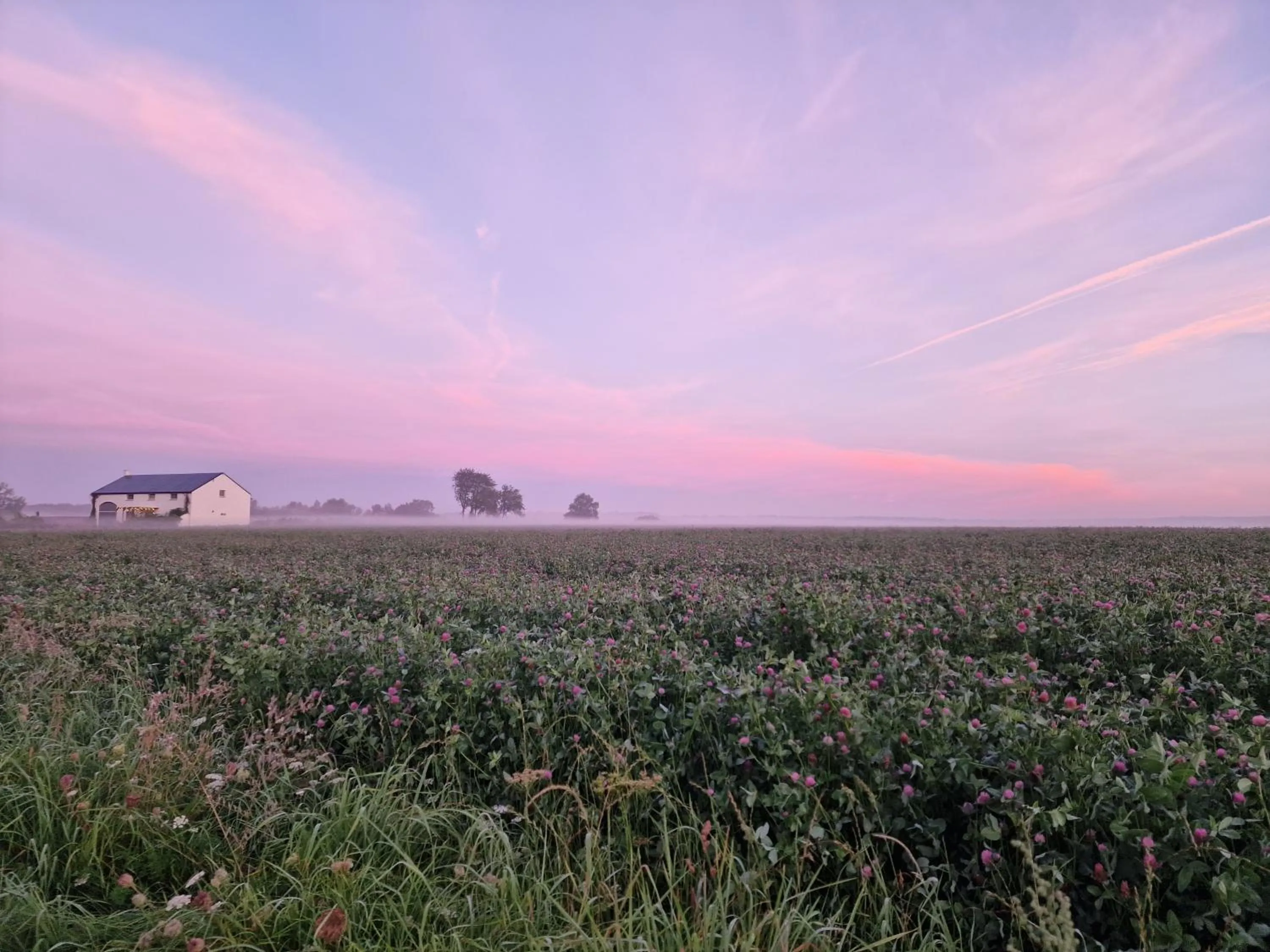View (from property/room) in B&B Entre Champs