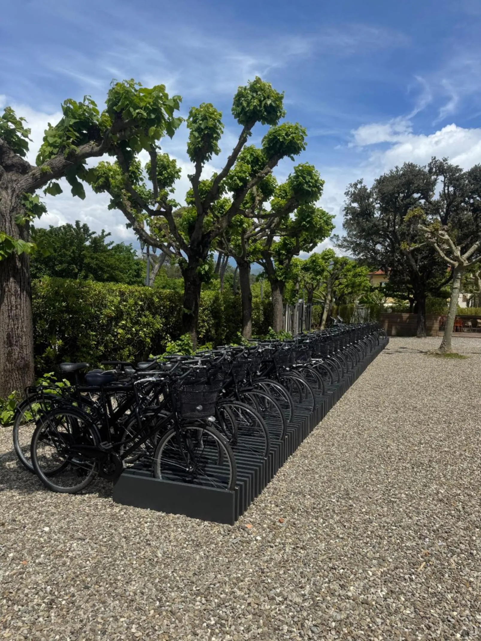 Garden in Re Versiliana Hotel