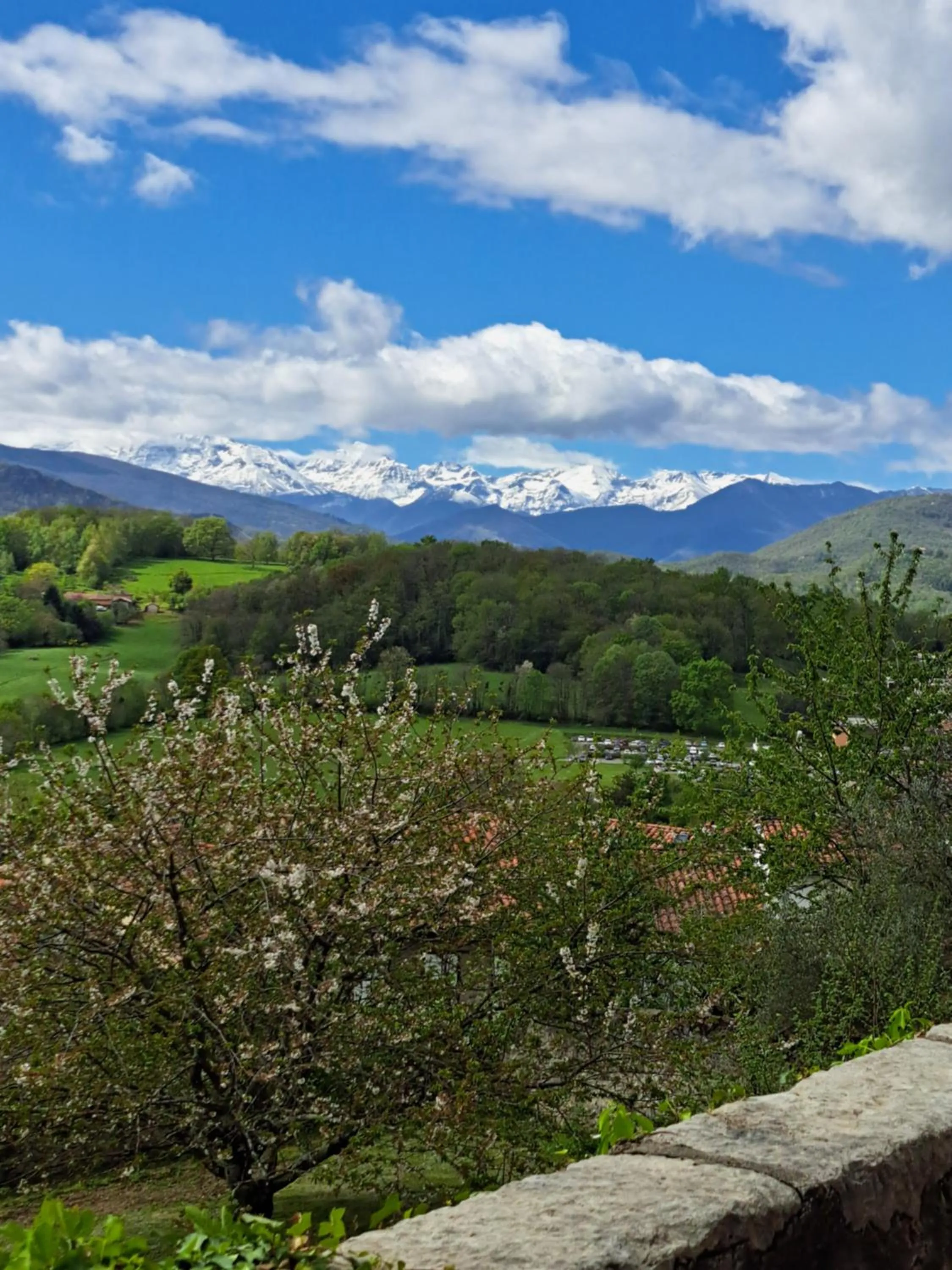 View (from property/room) in Terres de France - Domaine du Palais