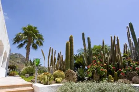 Garden in Hotel Villa Miralisa