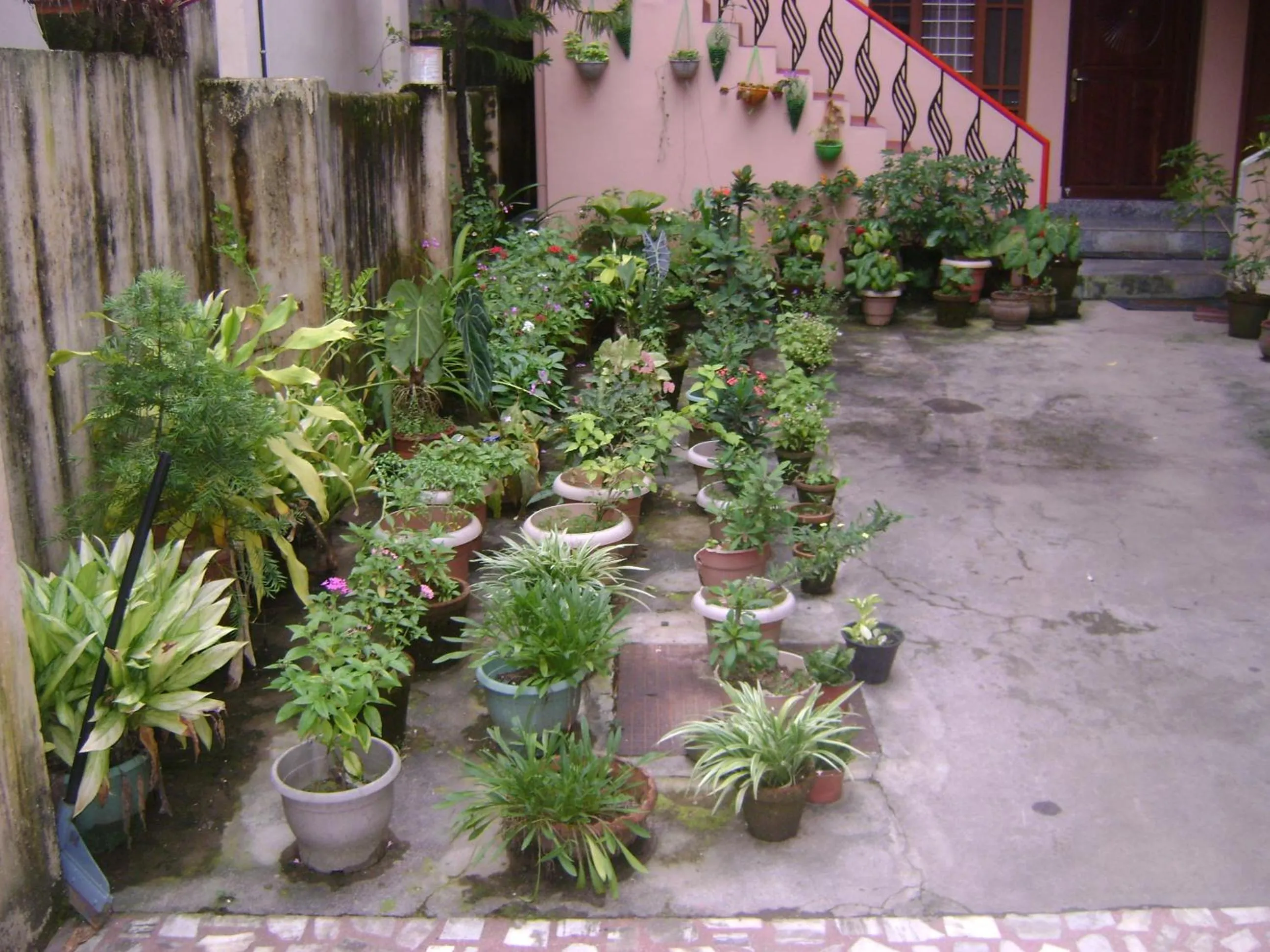 View (from property/room) in Prems Homestay