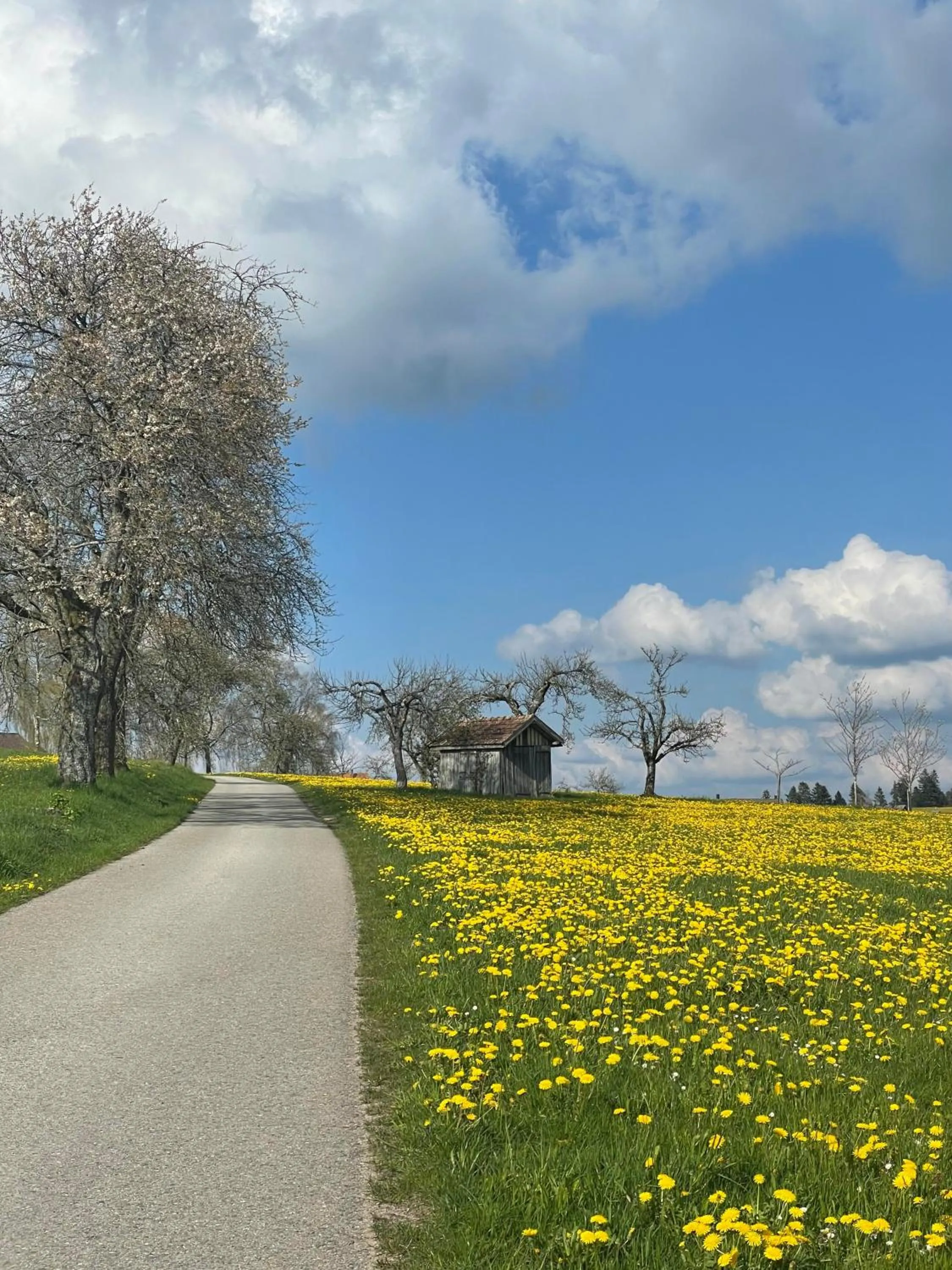 Natural landscape in Hotel Krone Igelsberg