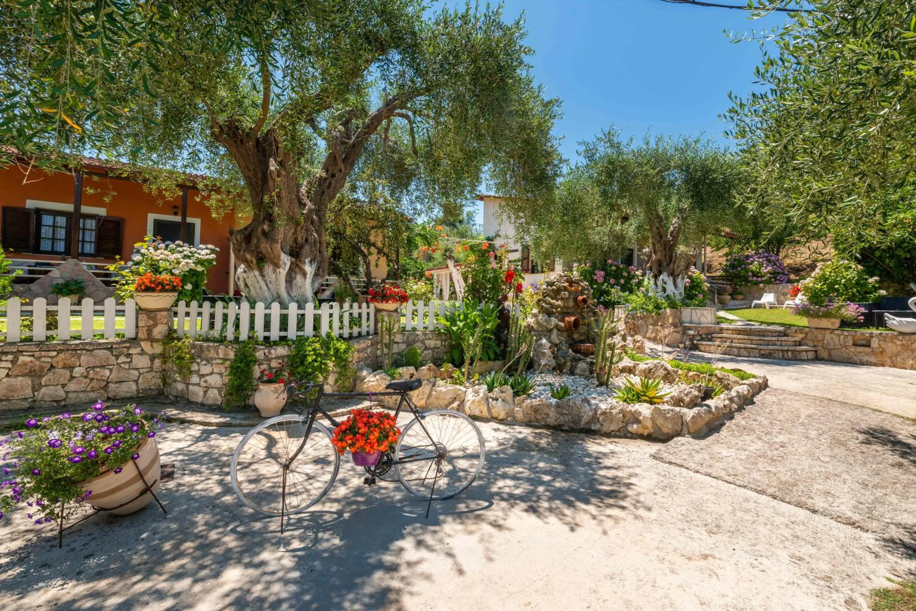 Garden in Anneta Studios