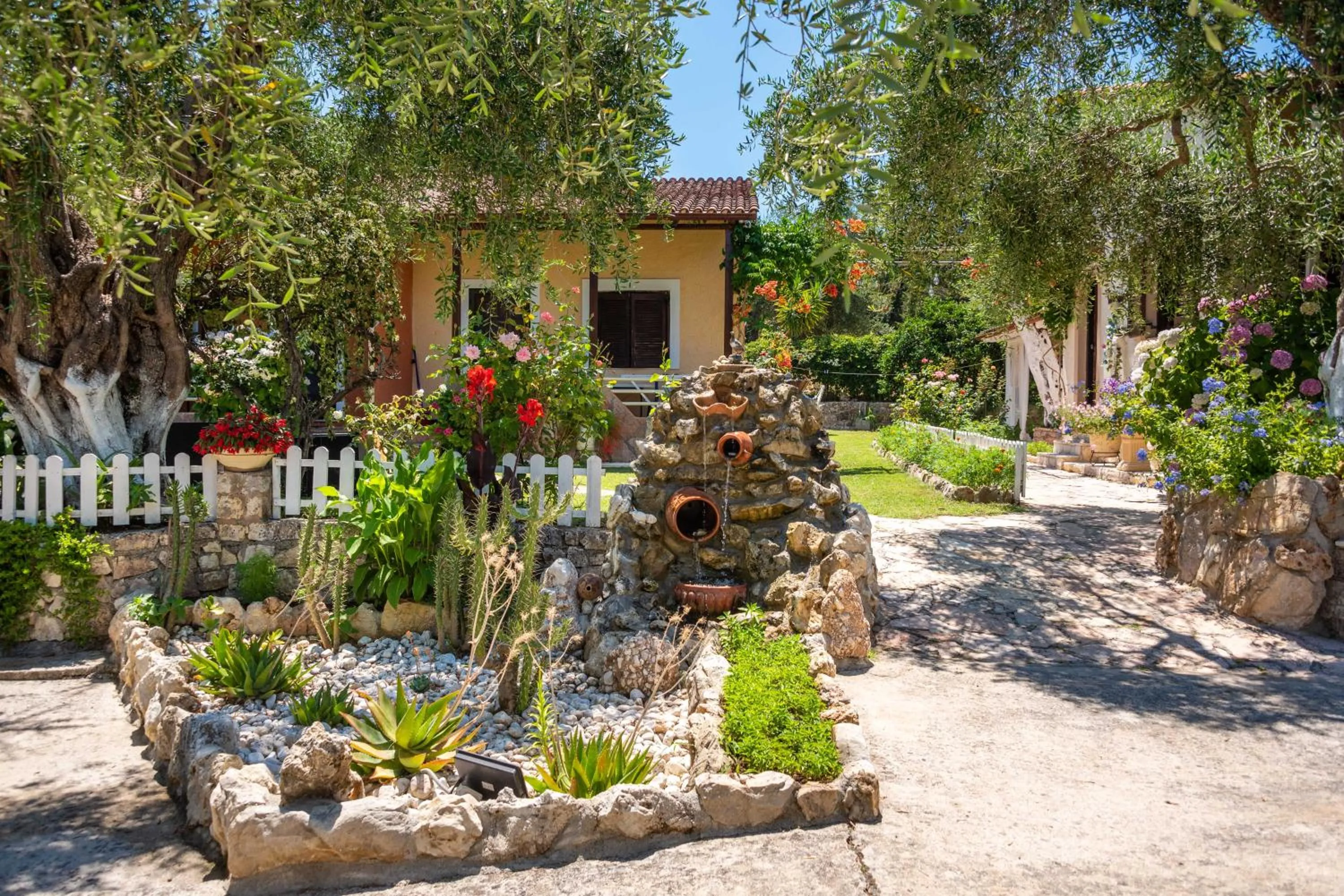 Garden in Anneta Studios