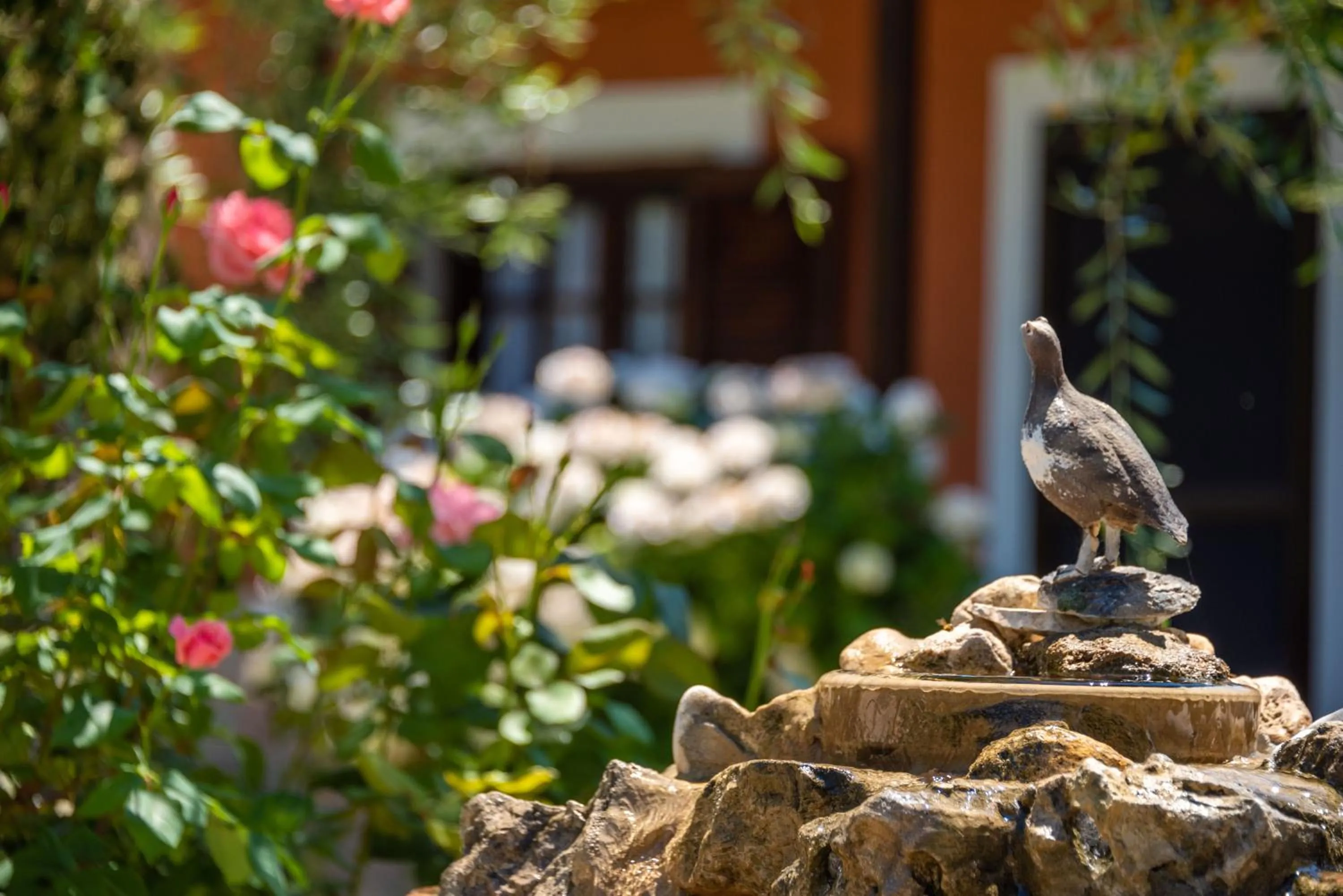 Garden view in Anneta Studios