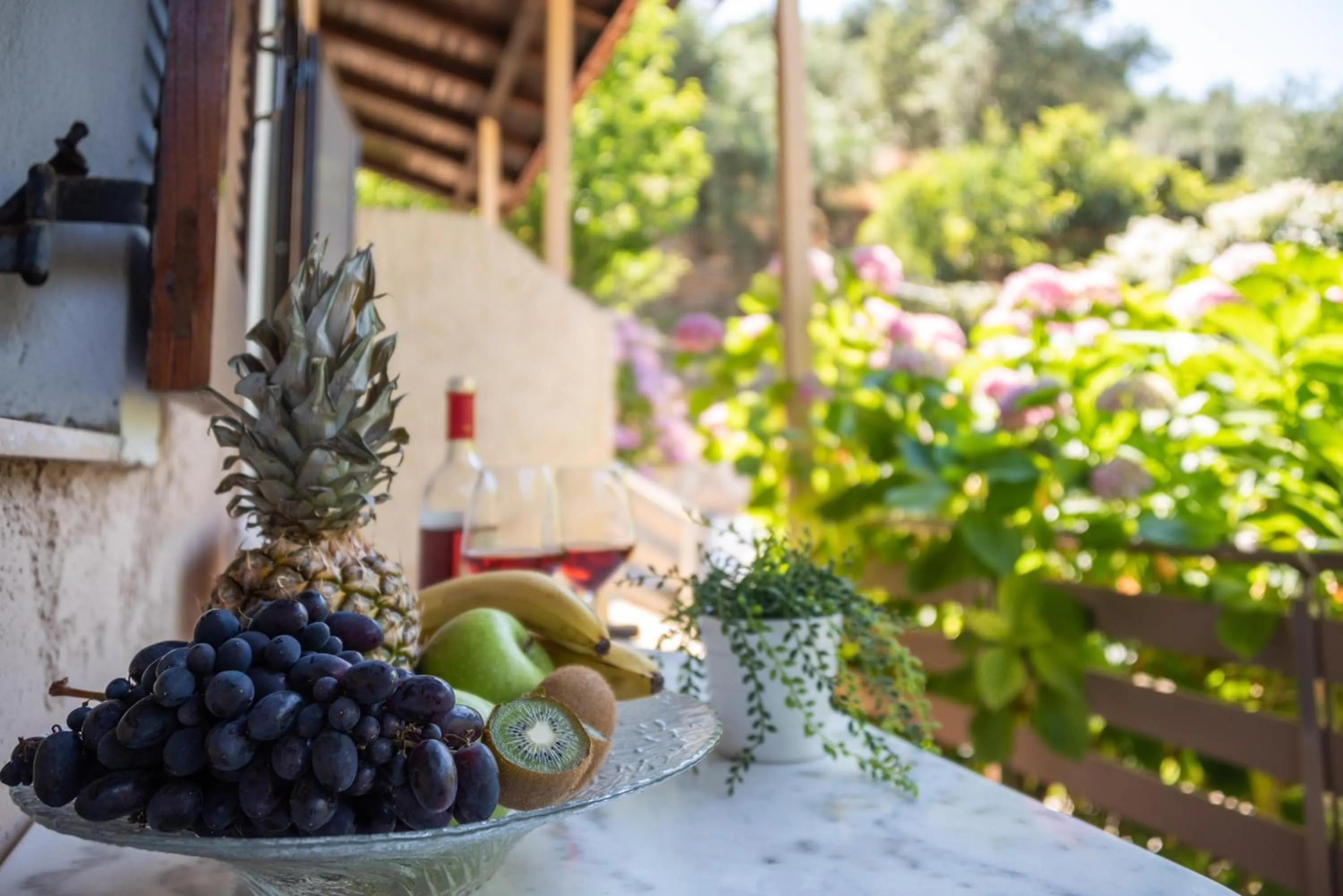 Garden in Anneta Studios