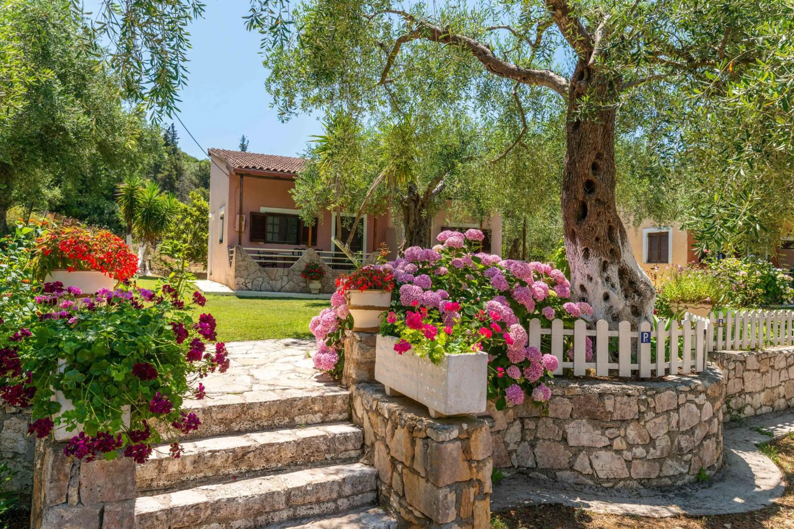 Property building in Anneta Studios