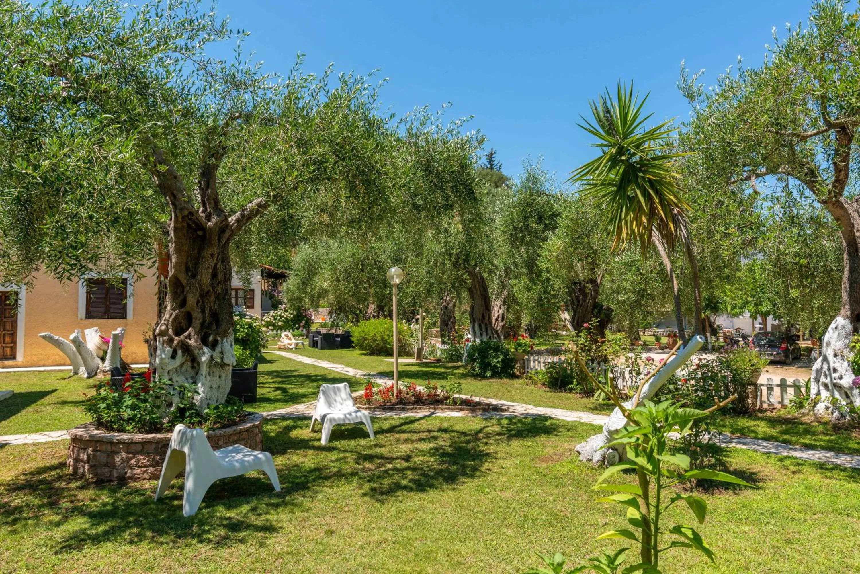 Natural landscape in Anneta Studios