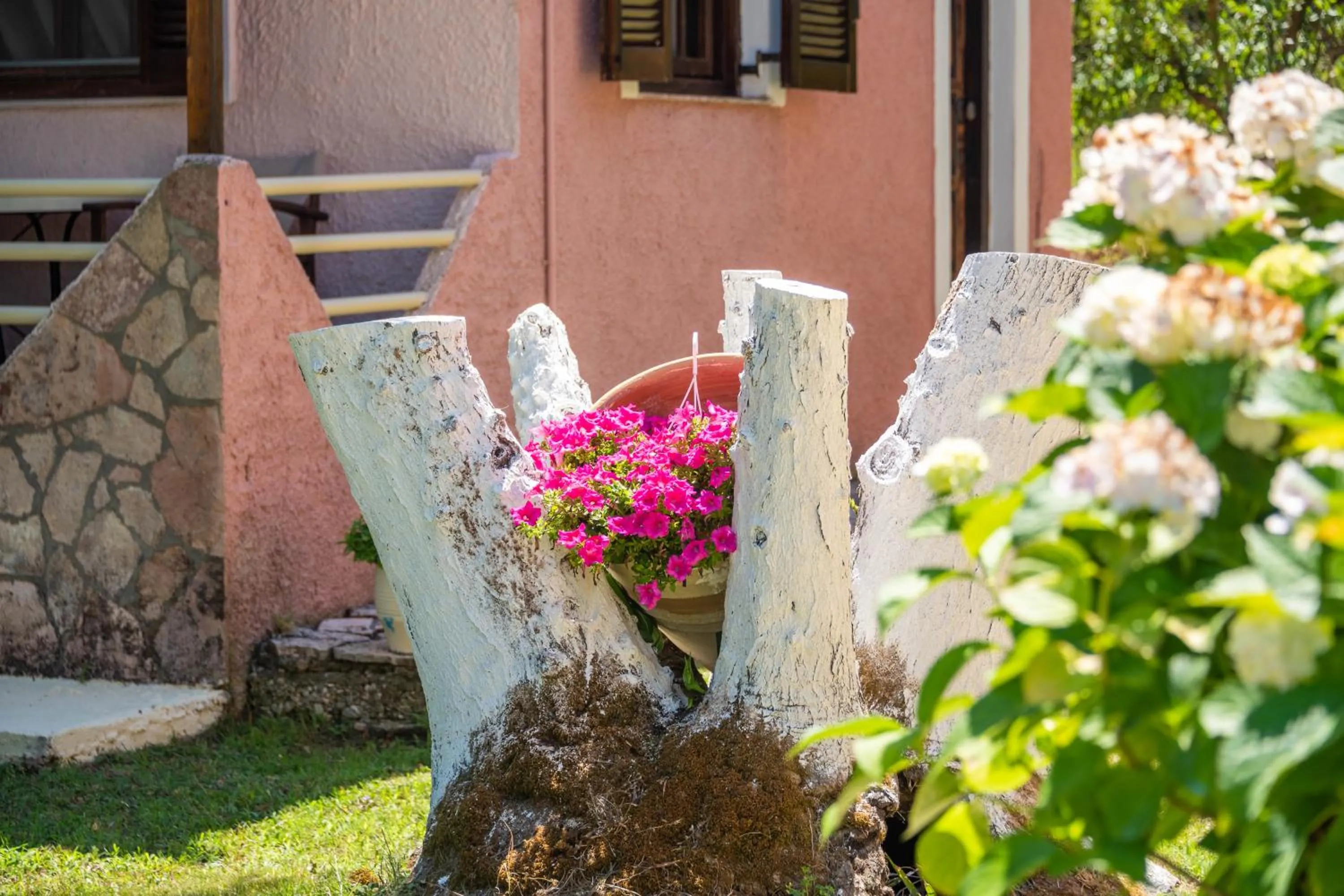 Garden in Anneta Studios