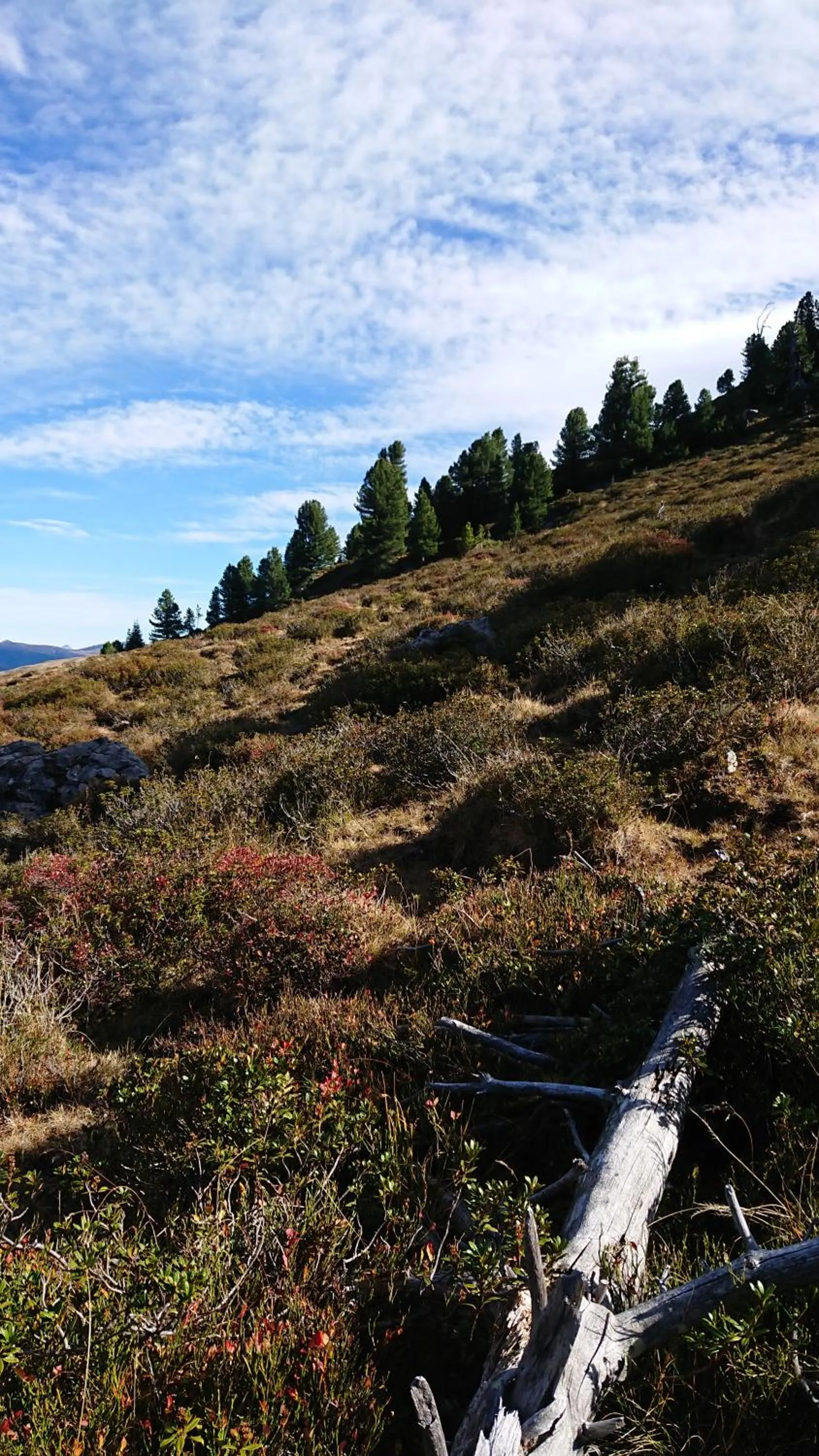 Natural landscape in Alpenherz Hotel Garni