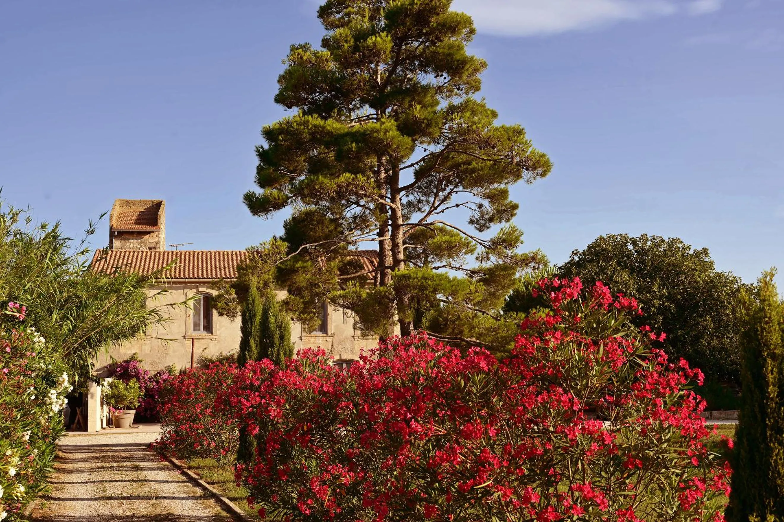 Maison Tara verte au Mas Montredon