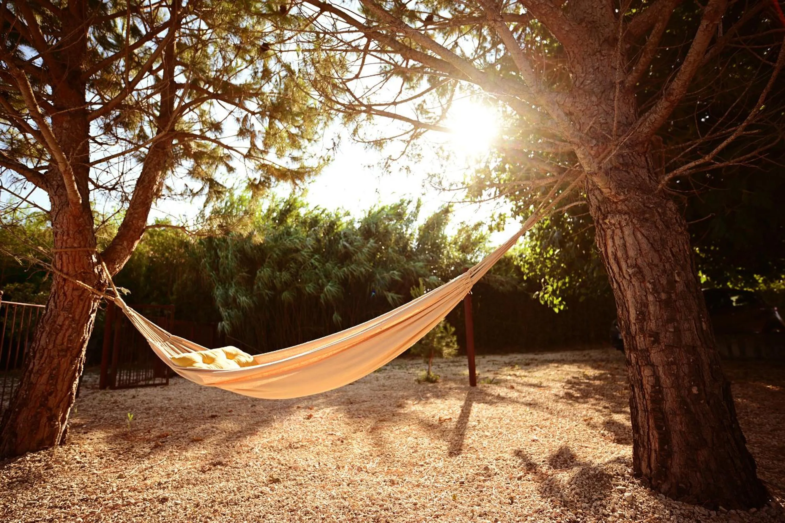 Maison Tara verte au Mas Montredon