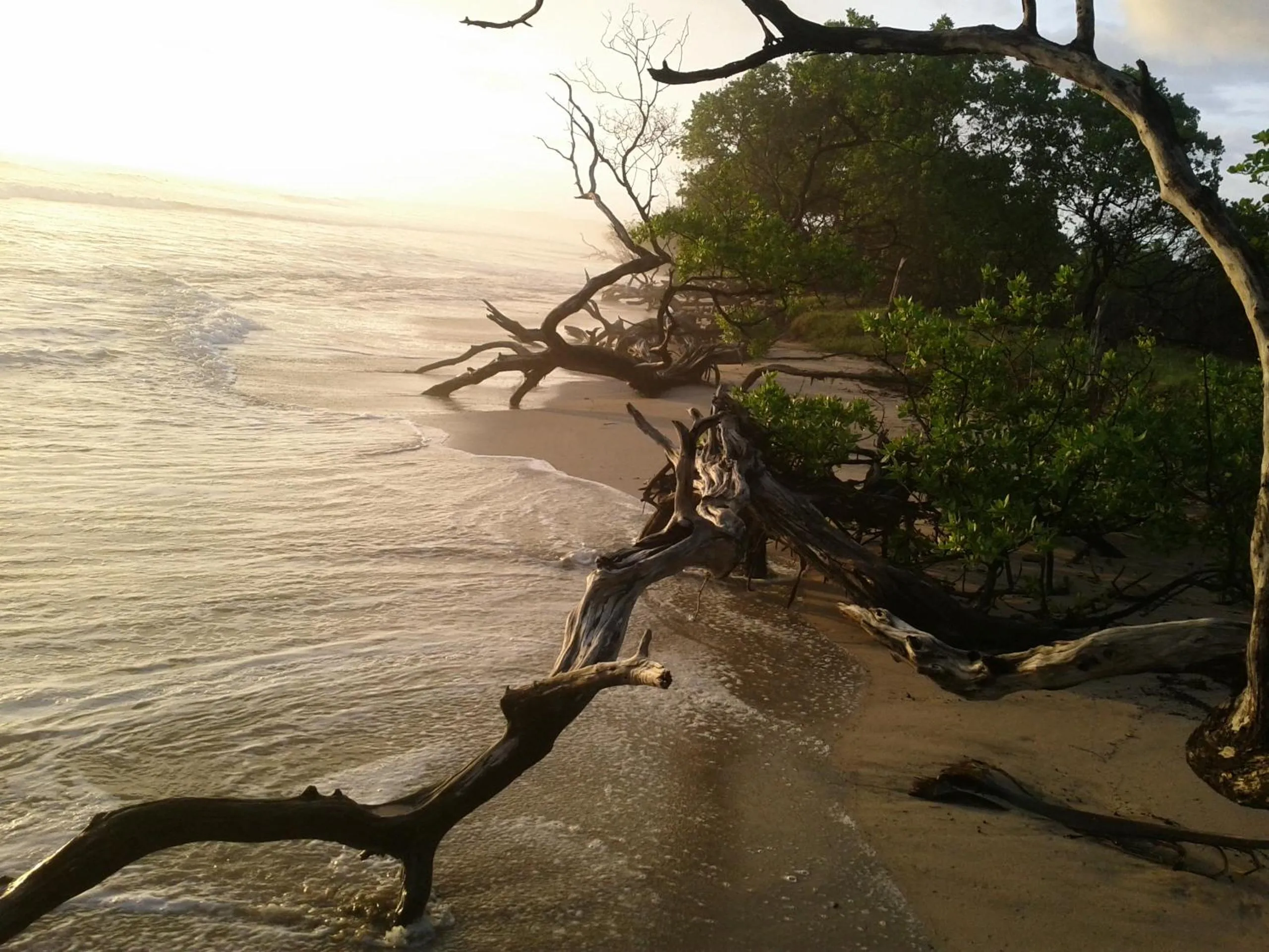 Natural landscape in Cabinas Las Olas