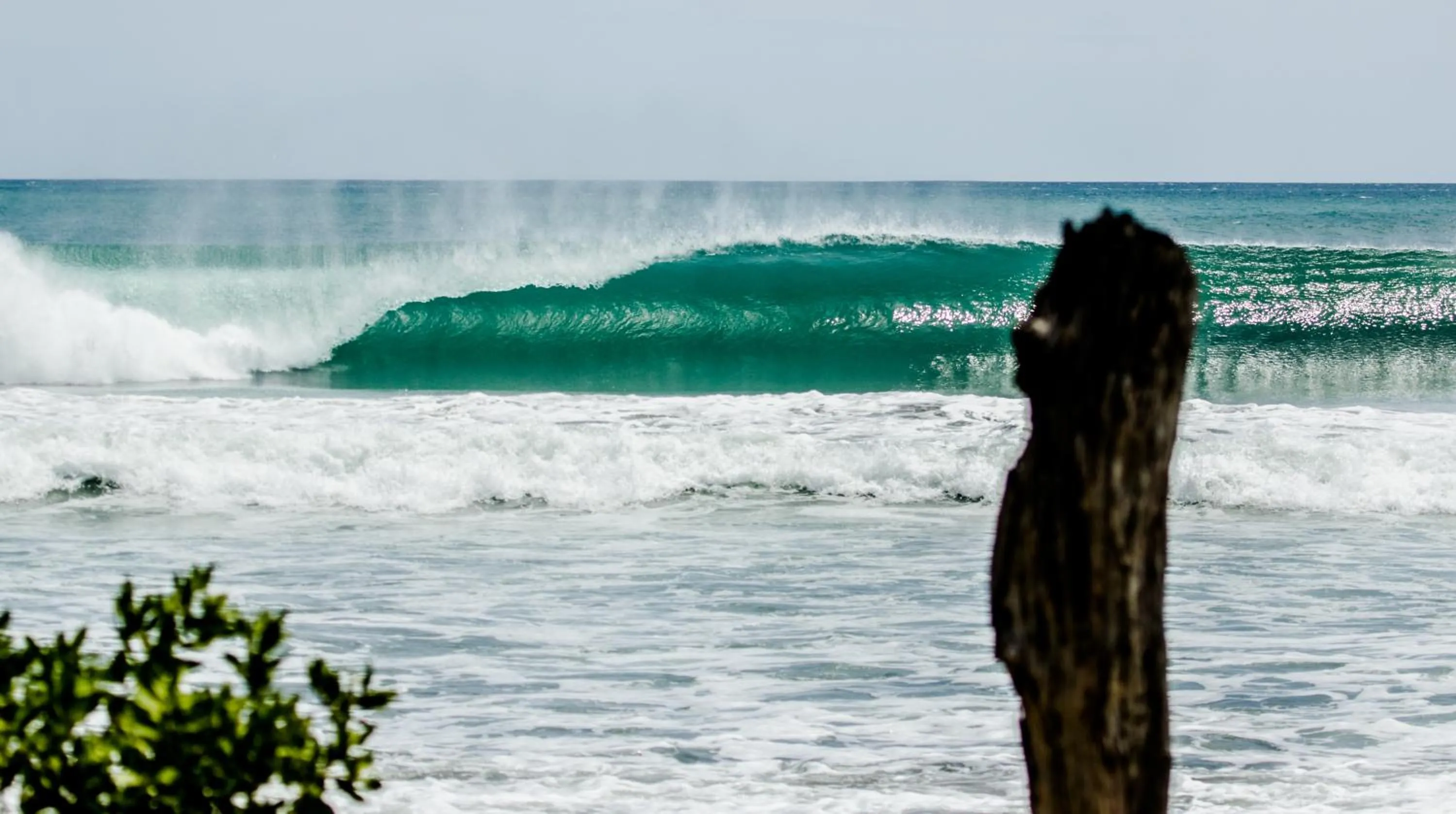 Natural landscape in Cabinas Las Olas