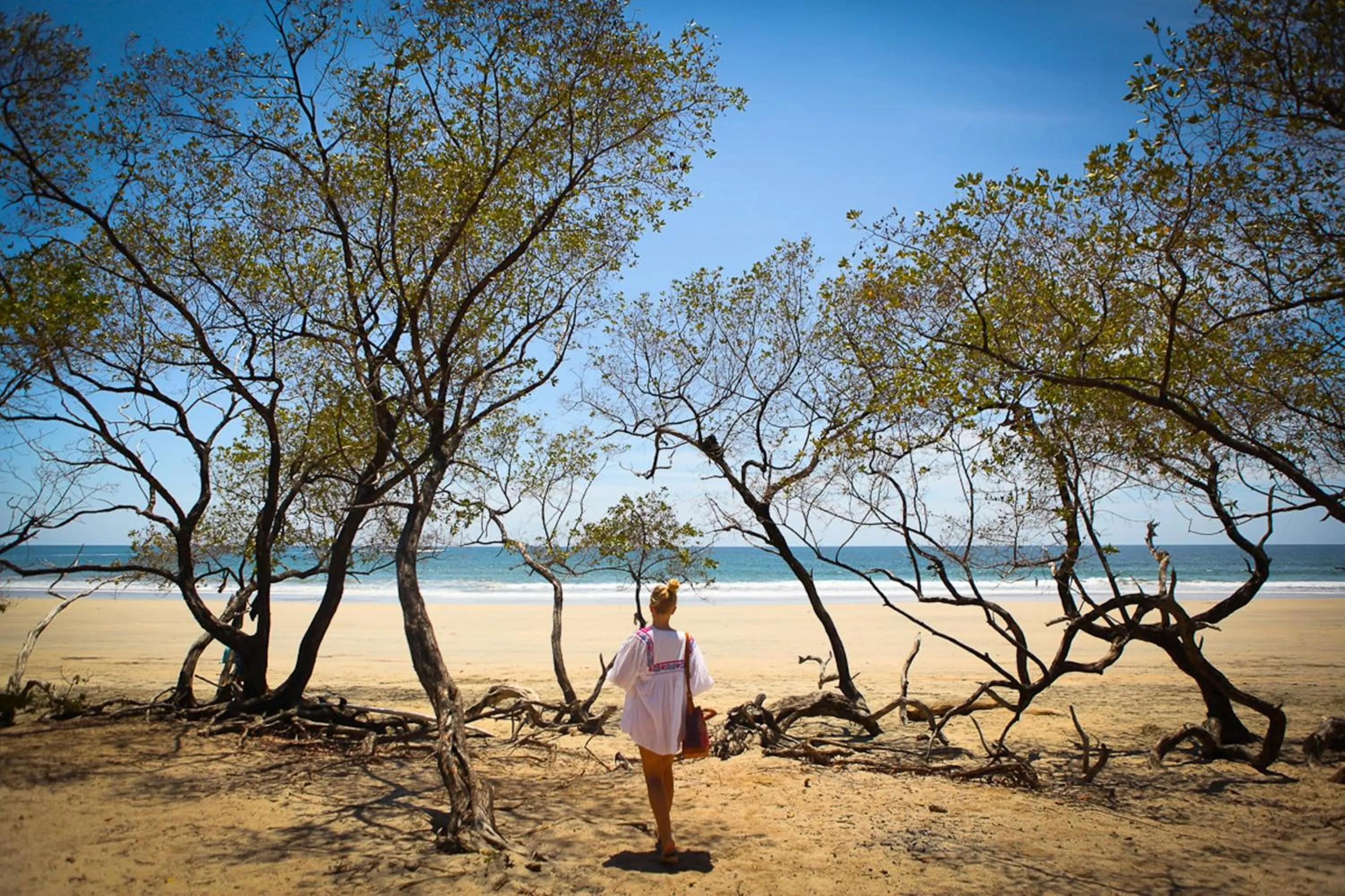 Facade/entrance in Cabinas Las Olas